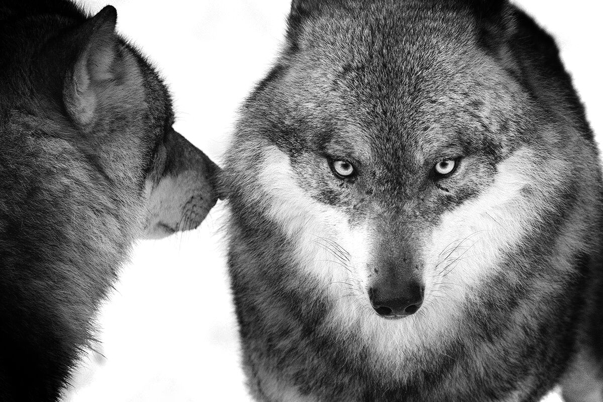 Uno sguardo che fa la differenza