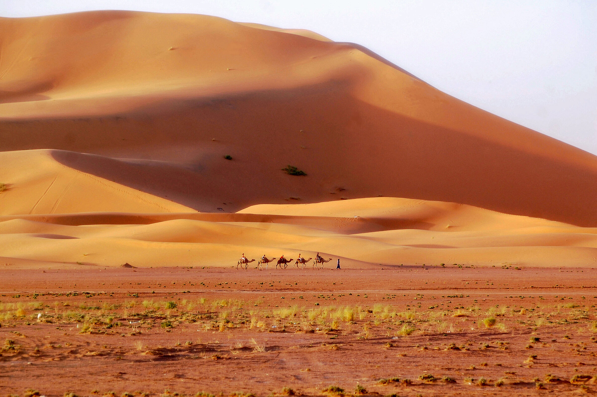 Morocco express