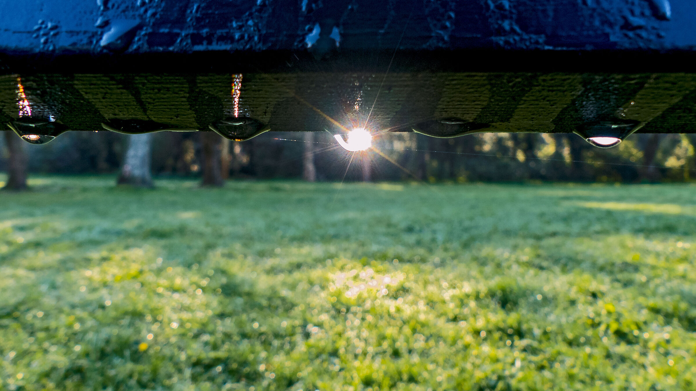 "Give. To the last drop."