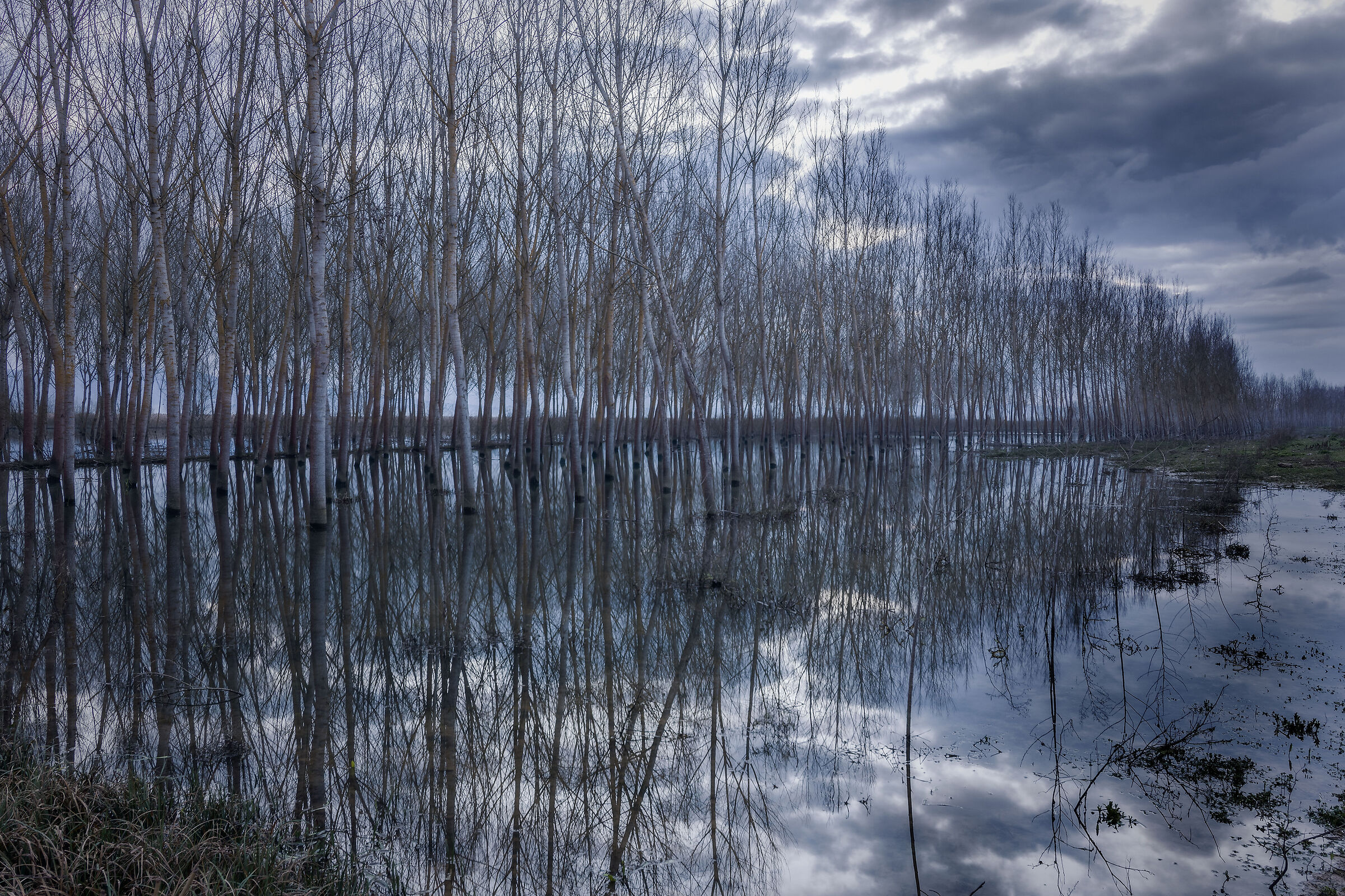 Reflections\\1