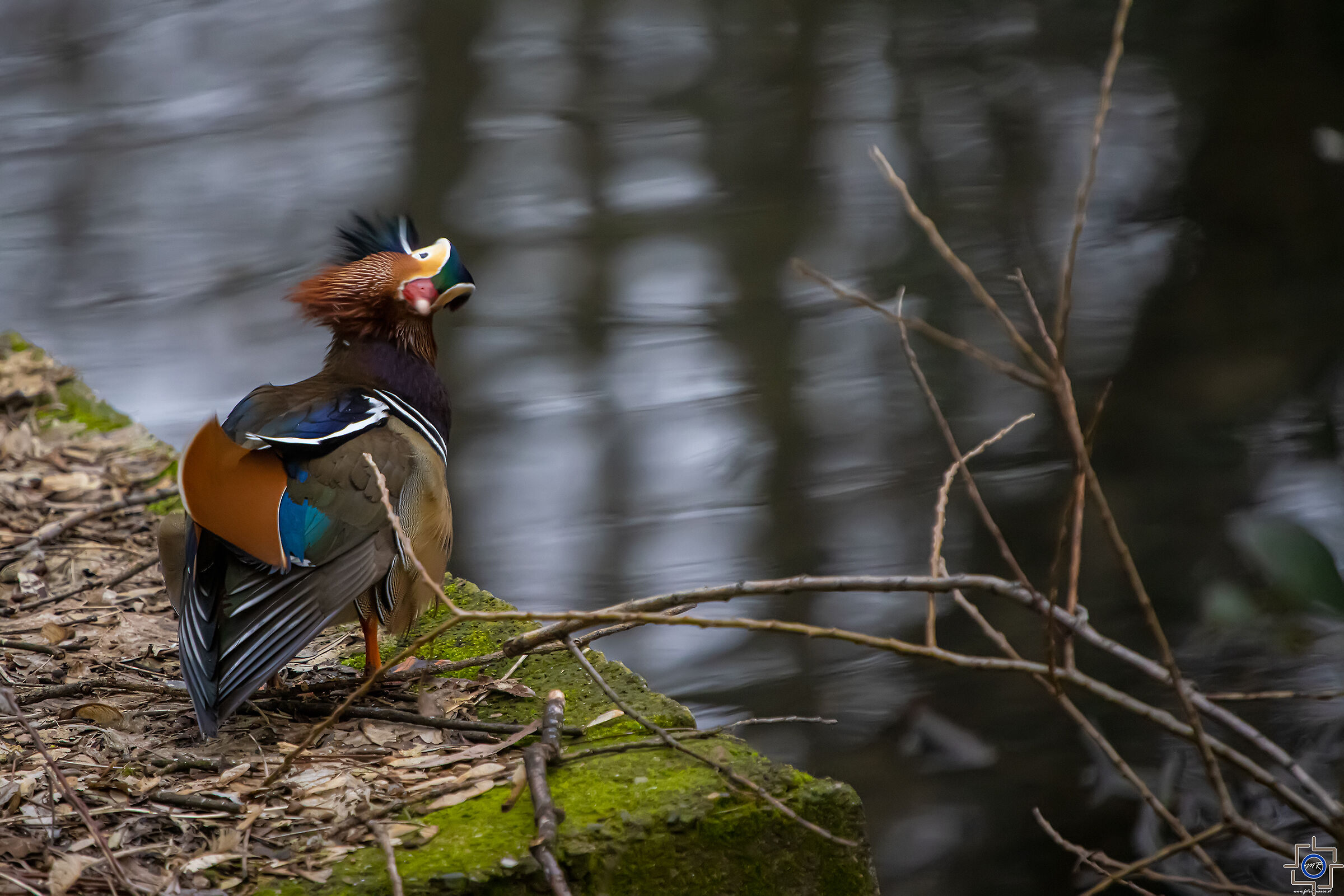 Mai guardare indietro