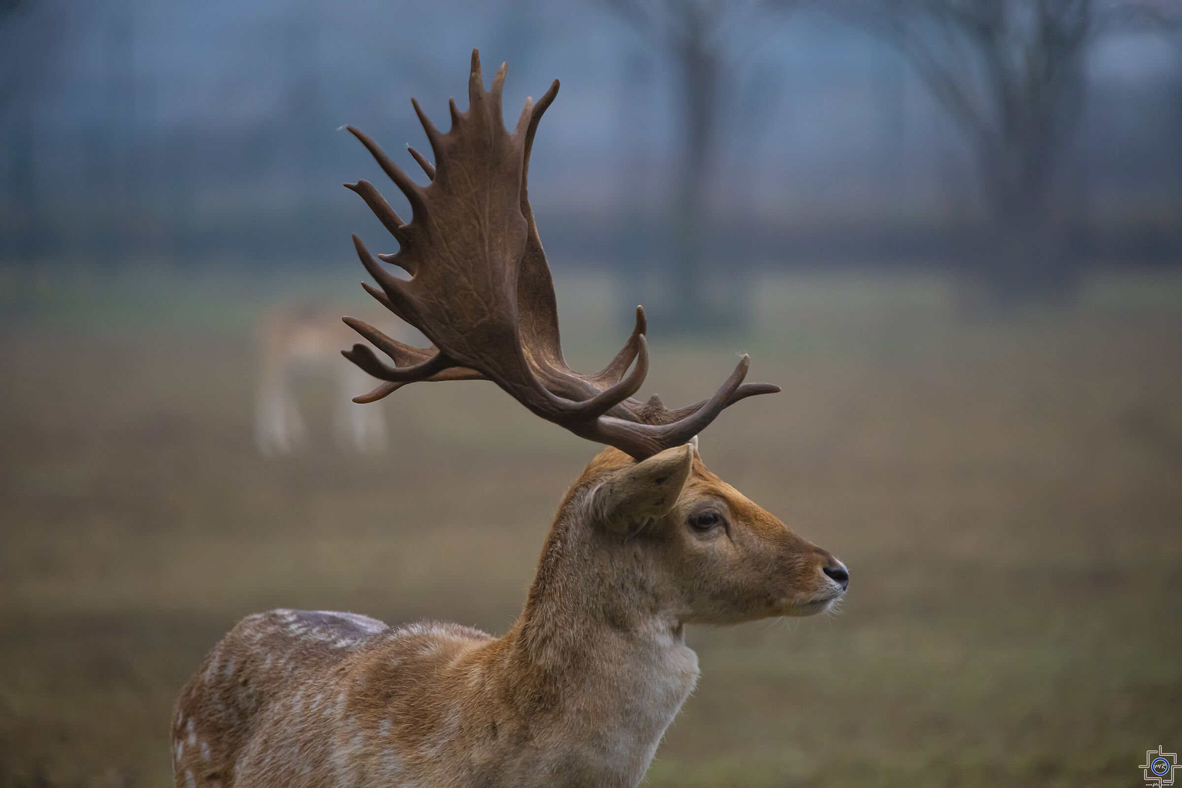 Watch out for the pack