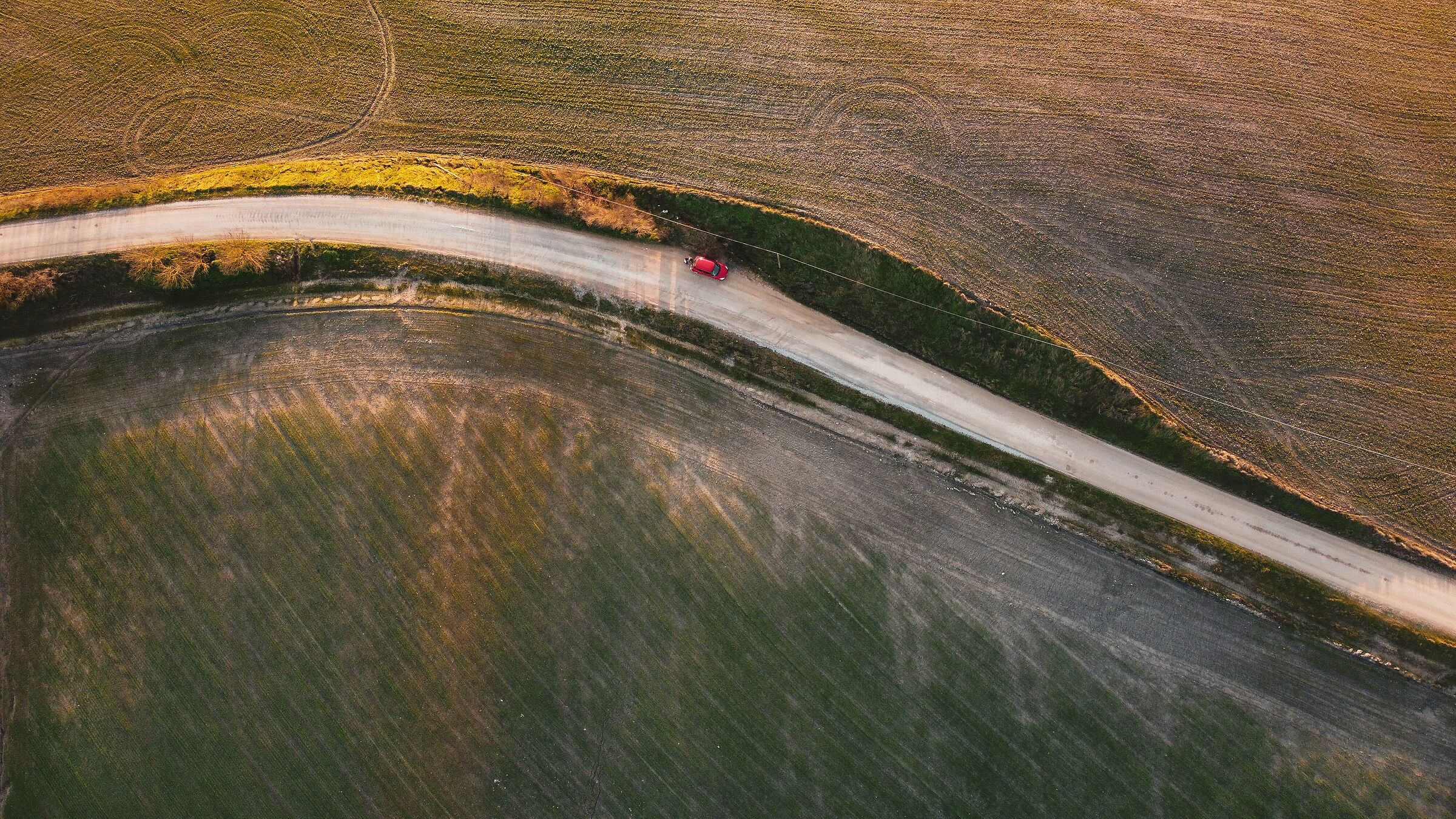 selfie con torcicollo