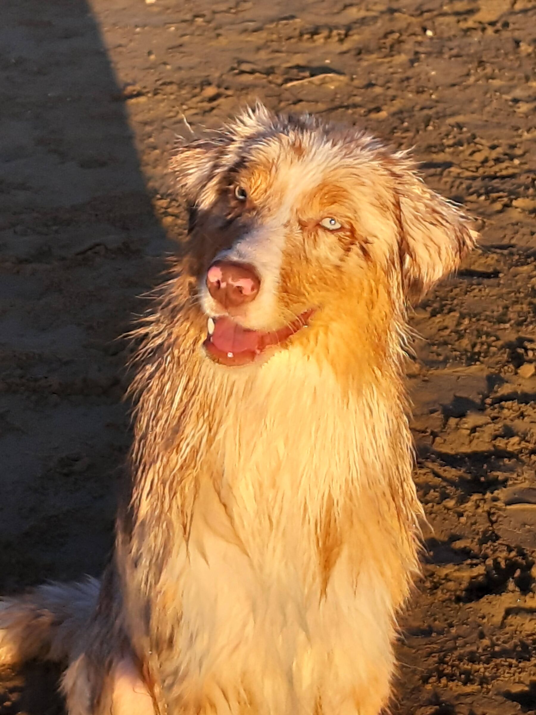 On the beach