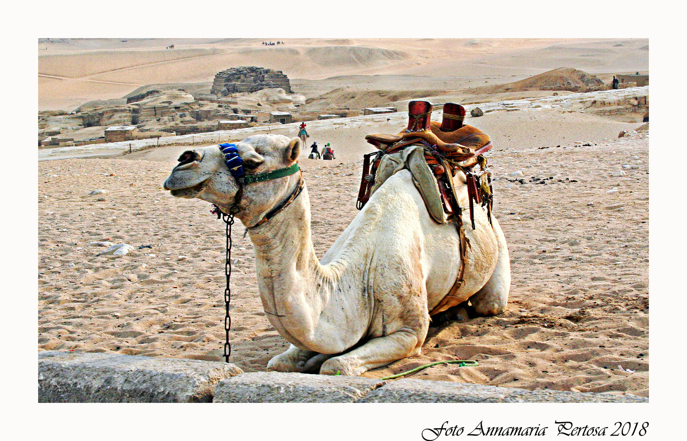 Giza a step away from the Pyramids