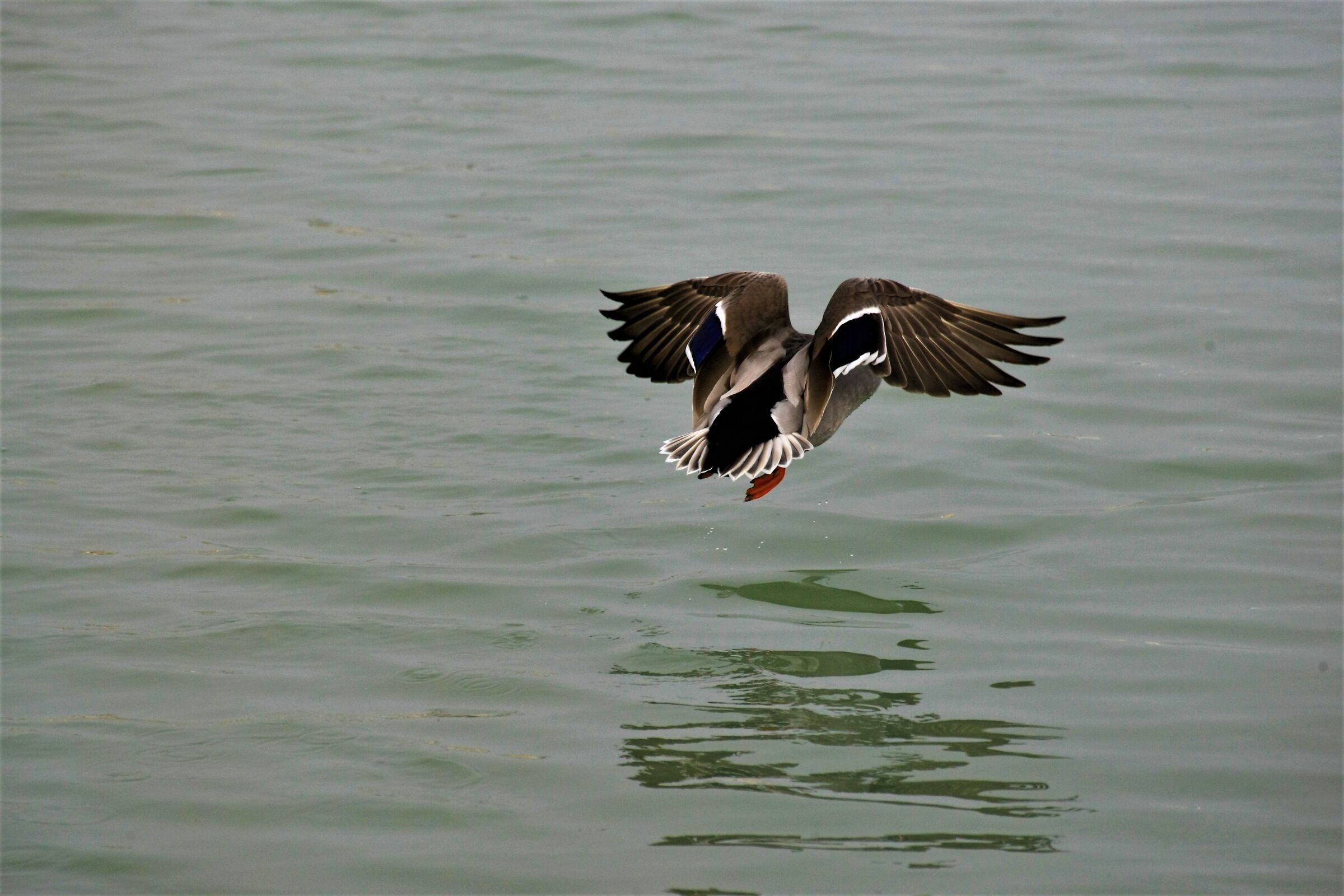 Huston abbiamo un problema