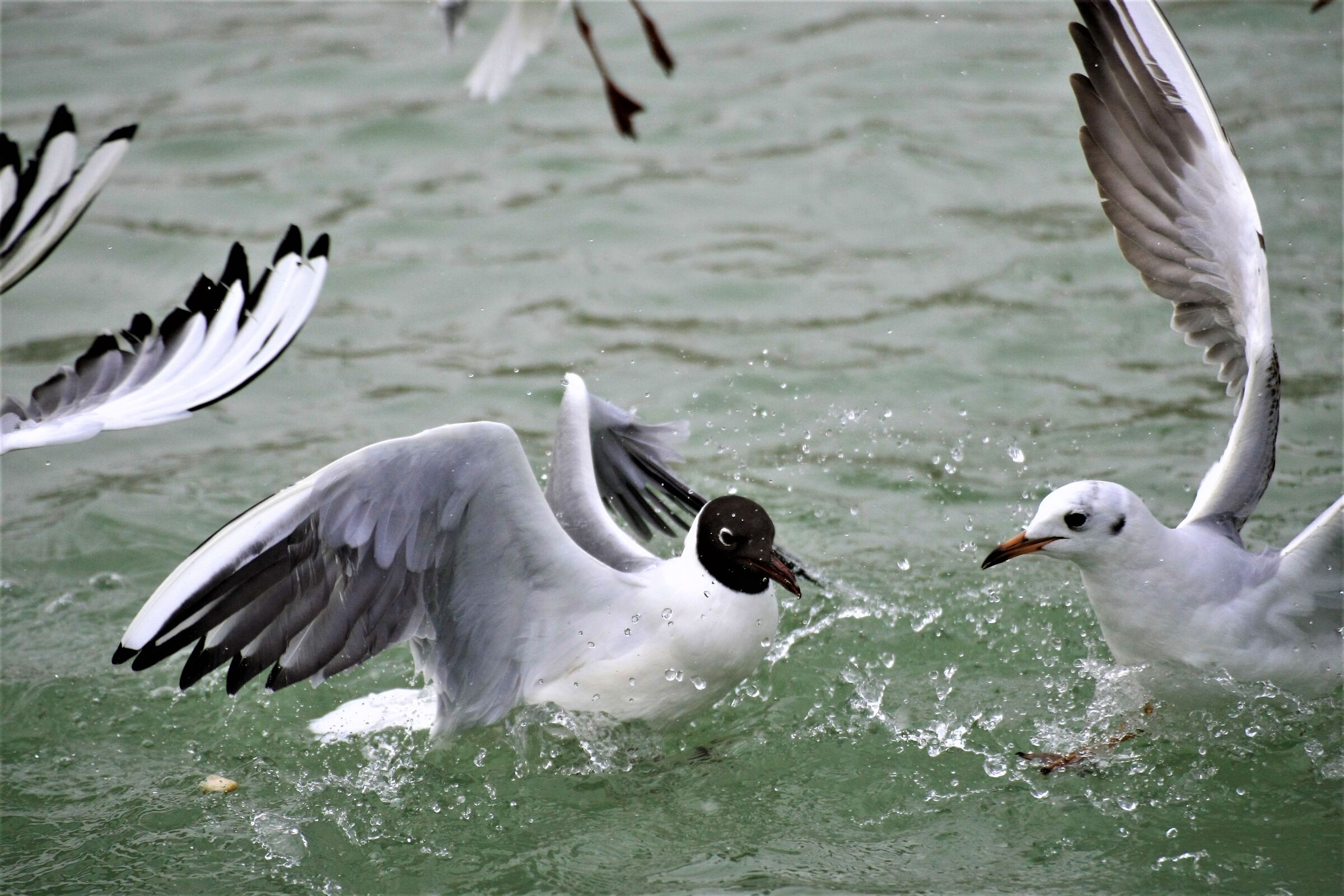 E all'angolo destro..