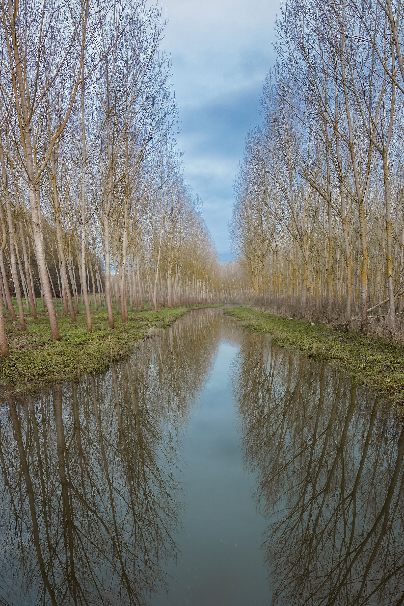 Reflection\\3