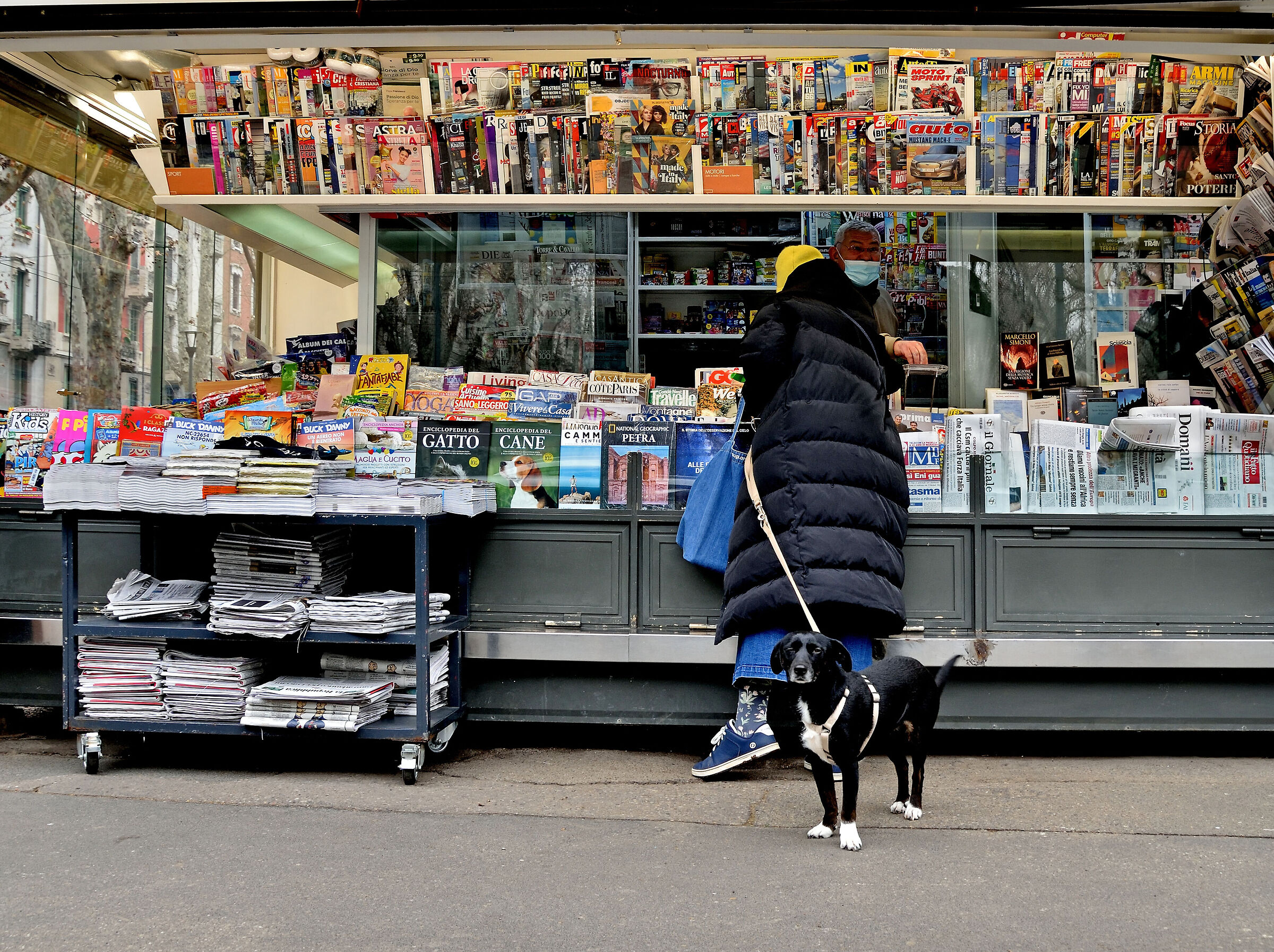 sorry the Cat came out...