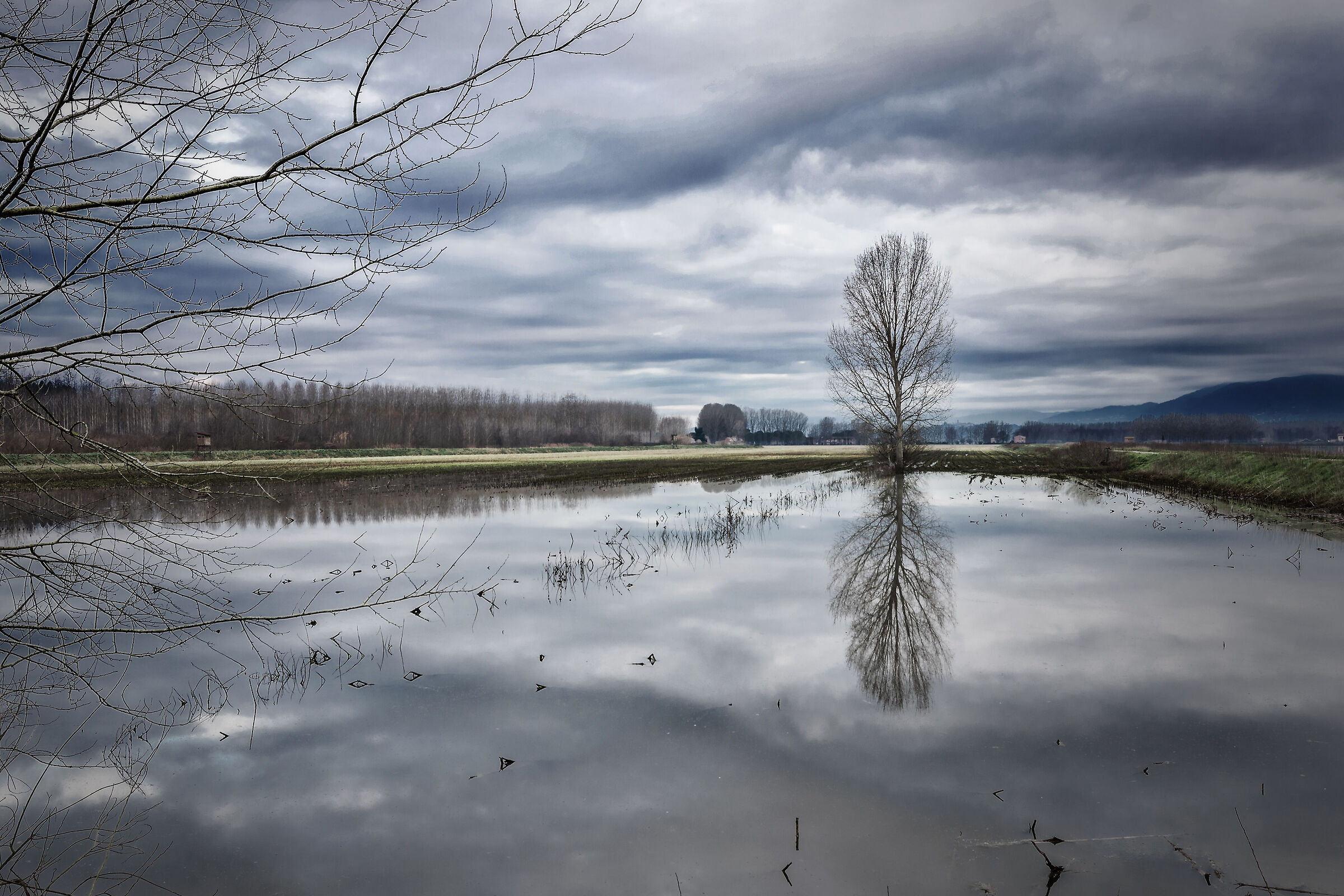 Reflections\\4