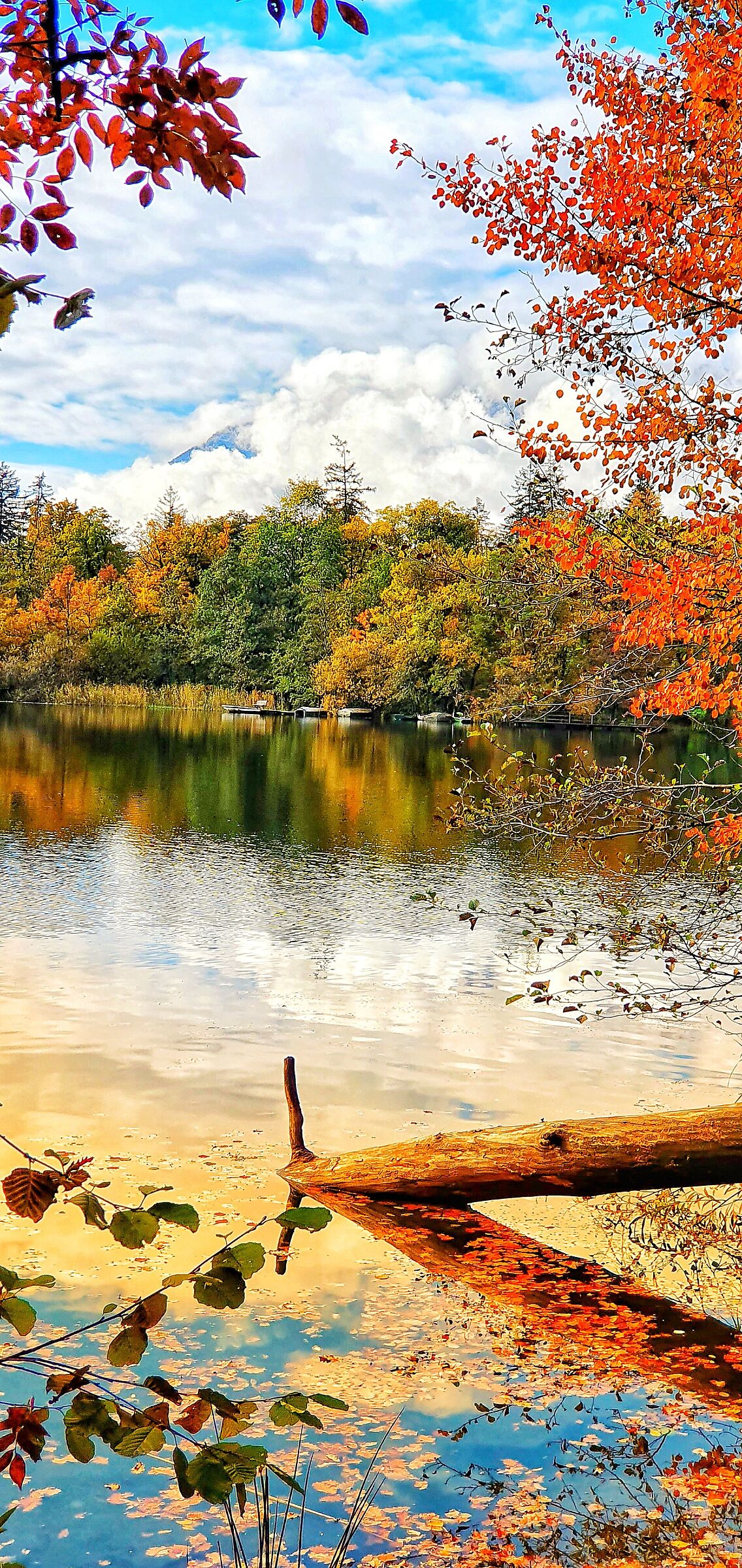 Lago di Monticolo