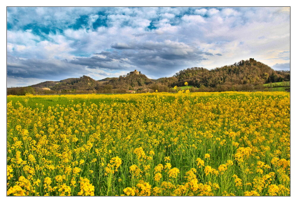 Quattro Castella (re) - Primavera