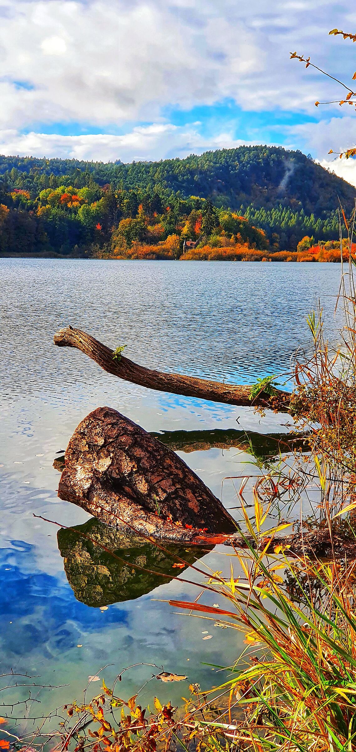 Lago di Monticolo