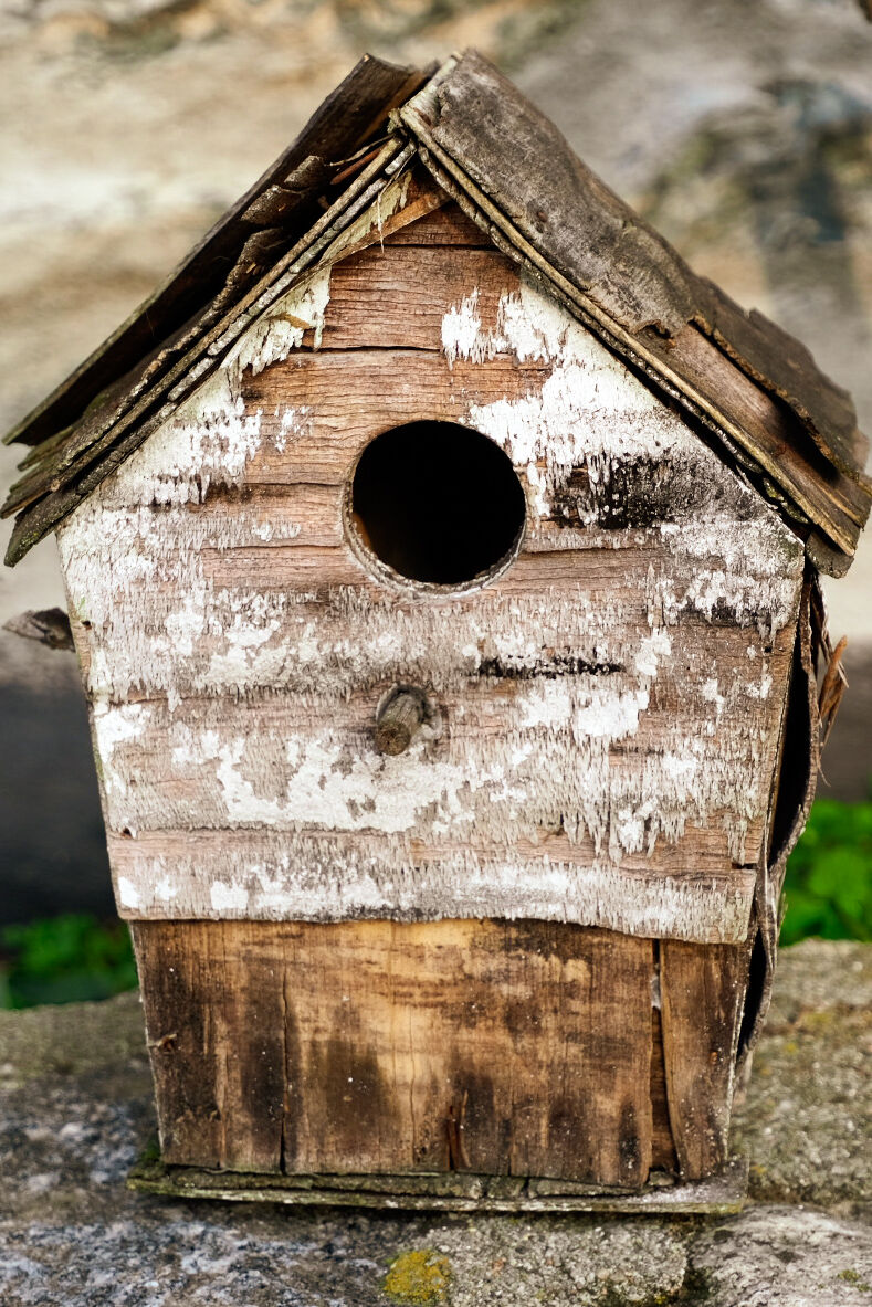 Per piccina che tu sia