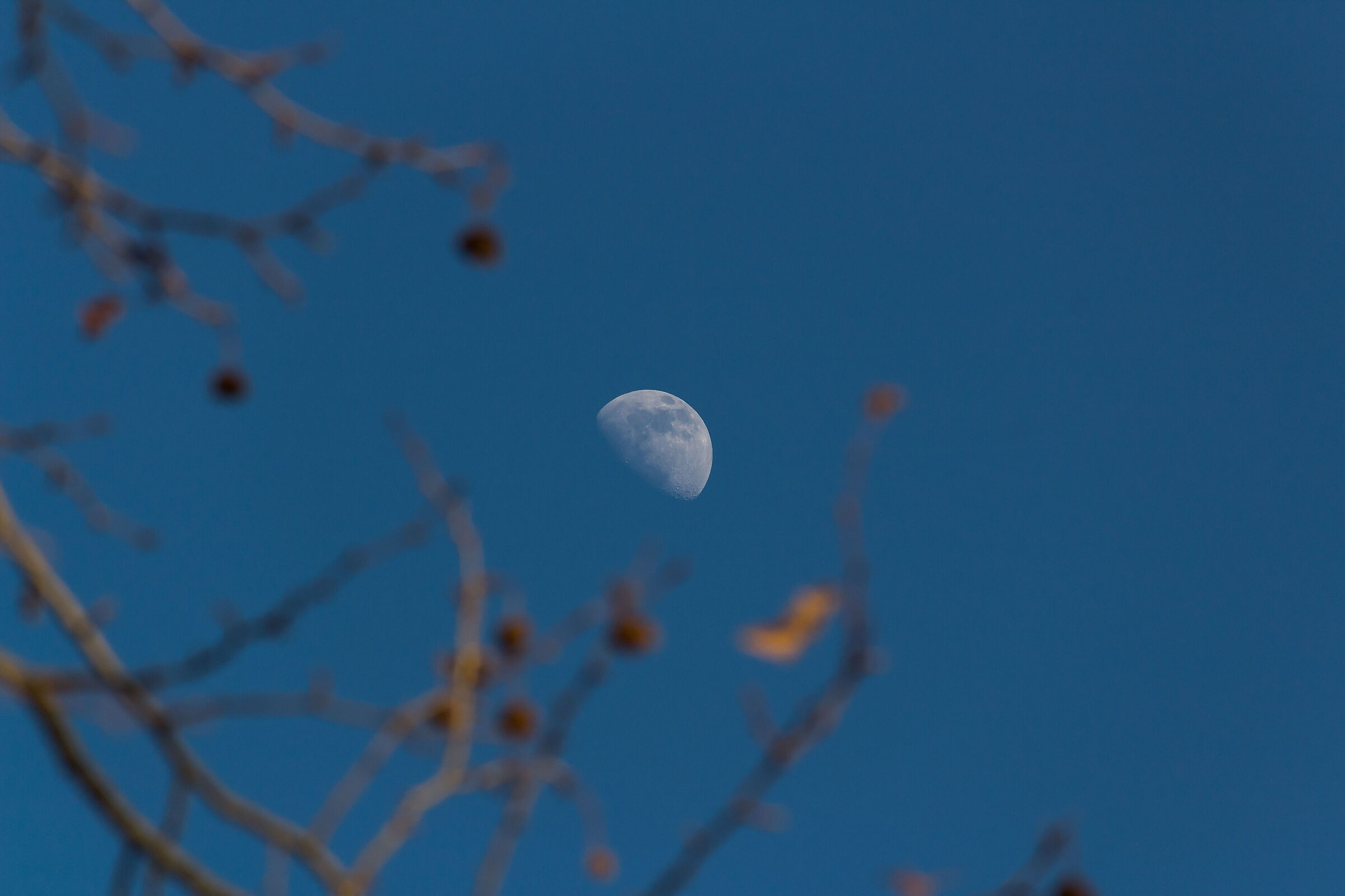 Moon in blue