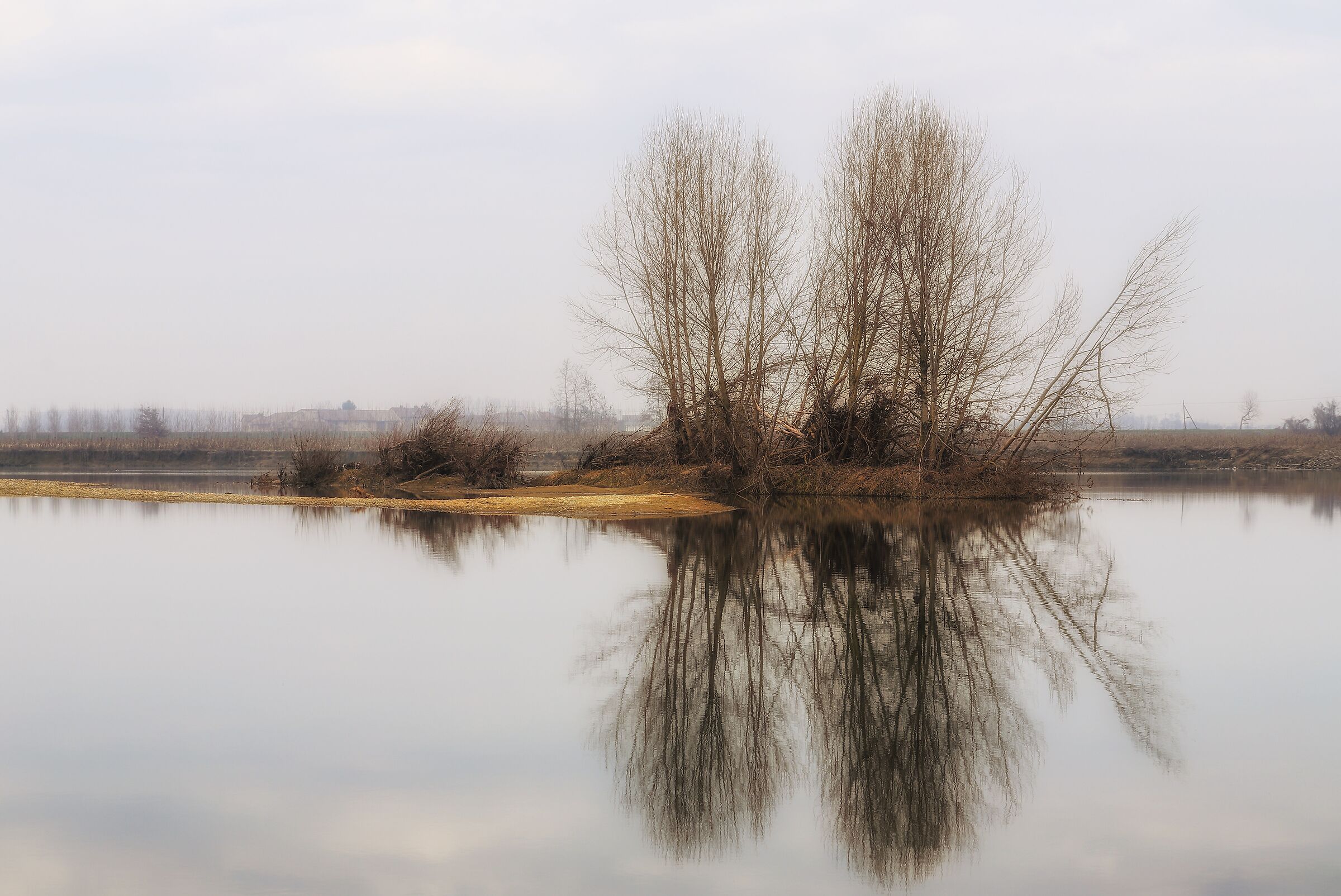 Lungo il Sesia, tra nebbia e riflessi