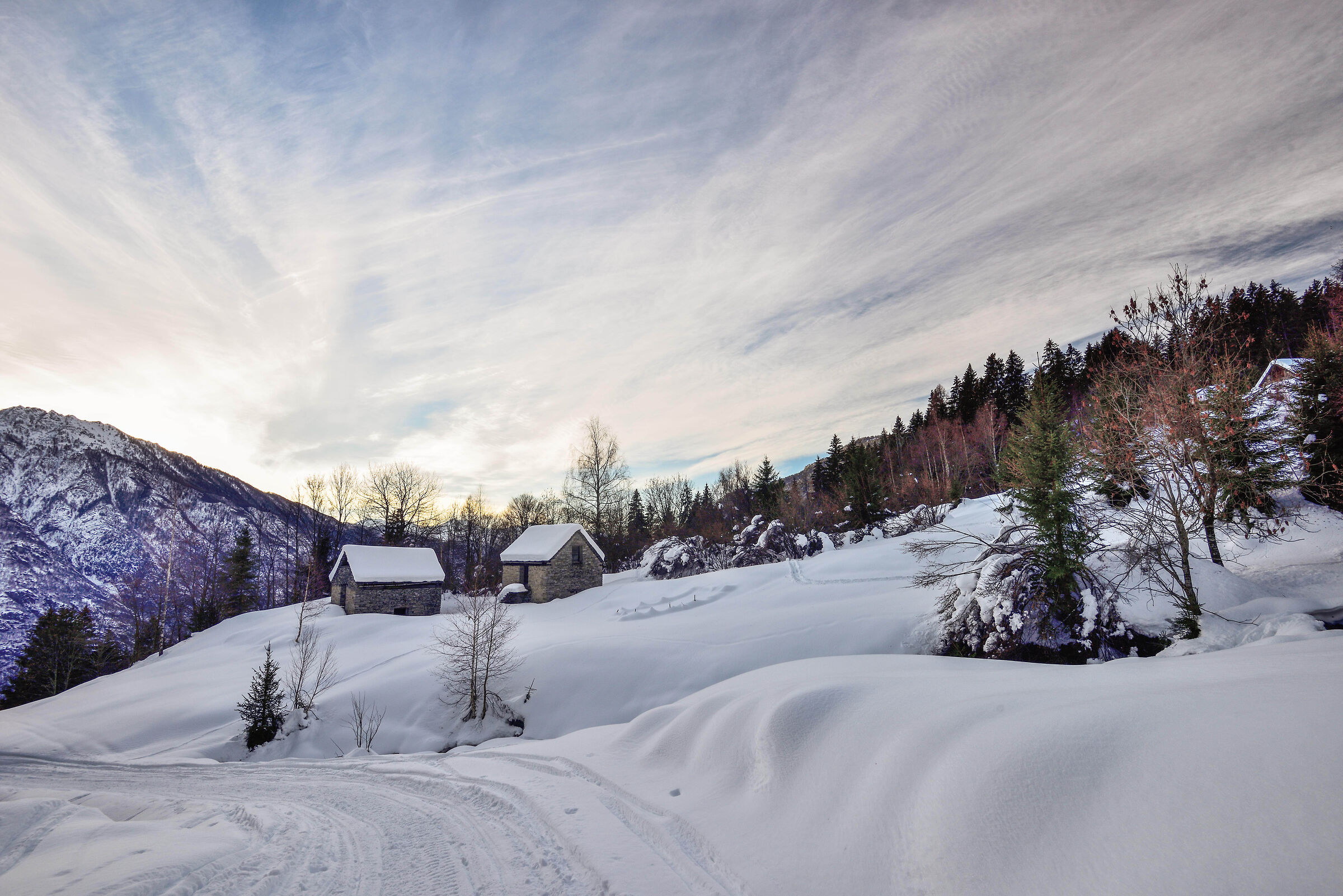 ci troviamo in un piccolo alpeggio