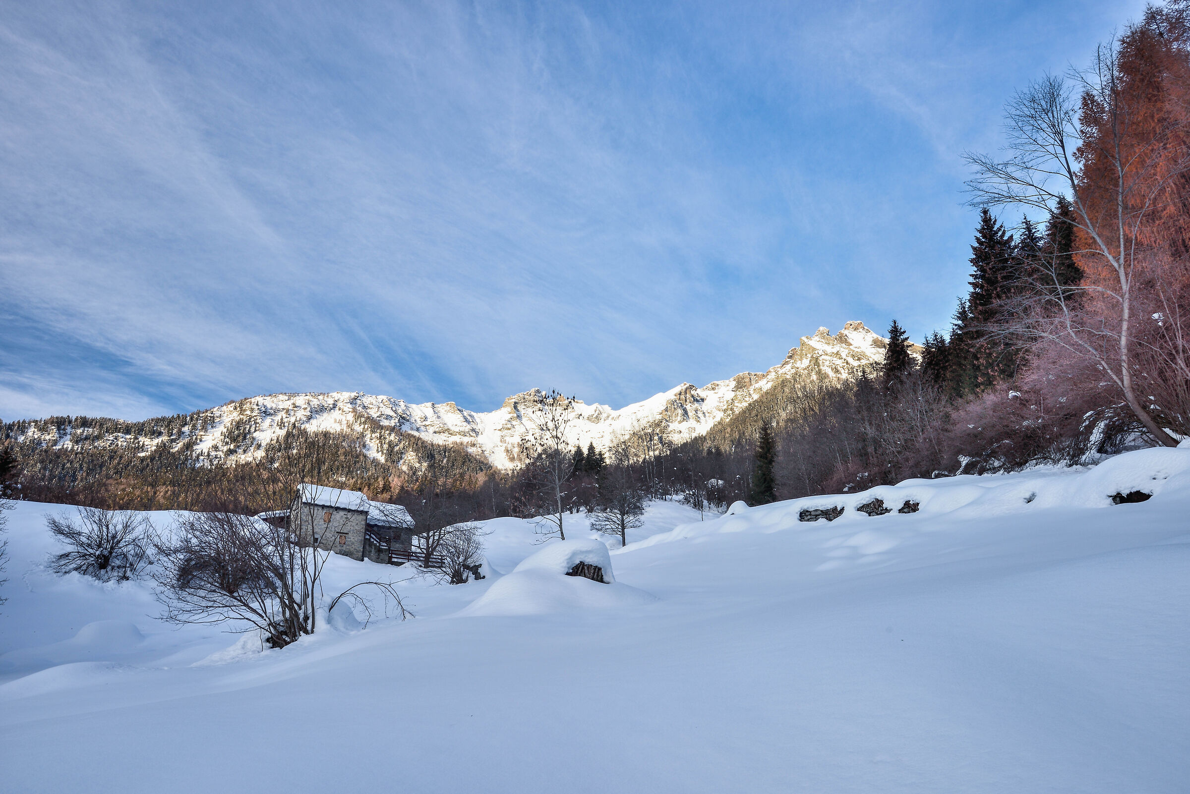 ci troviamo in un piccolo alpeggio