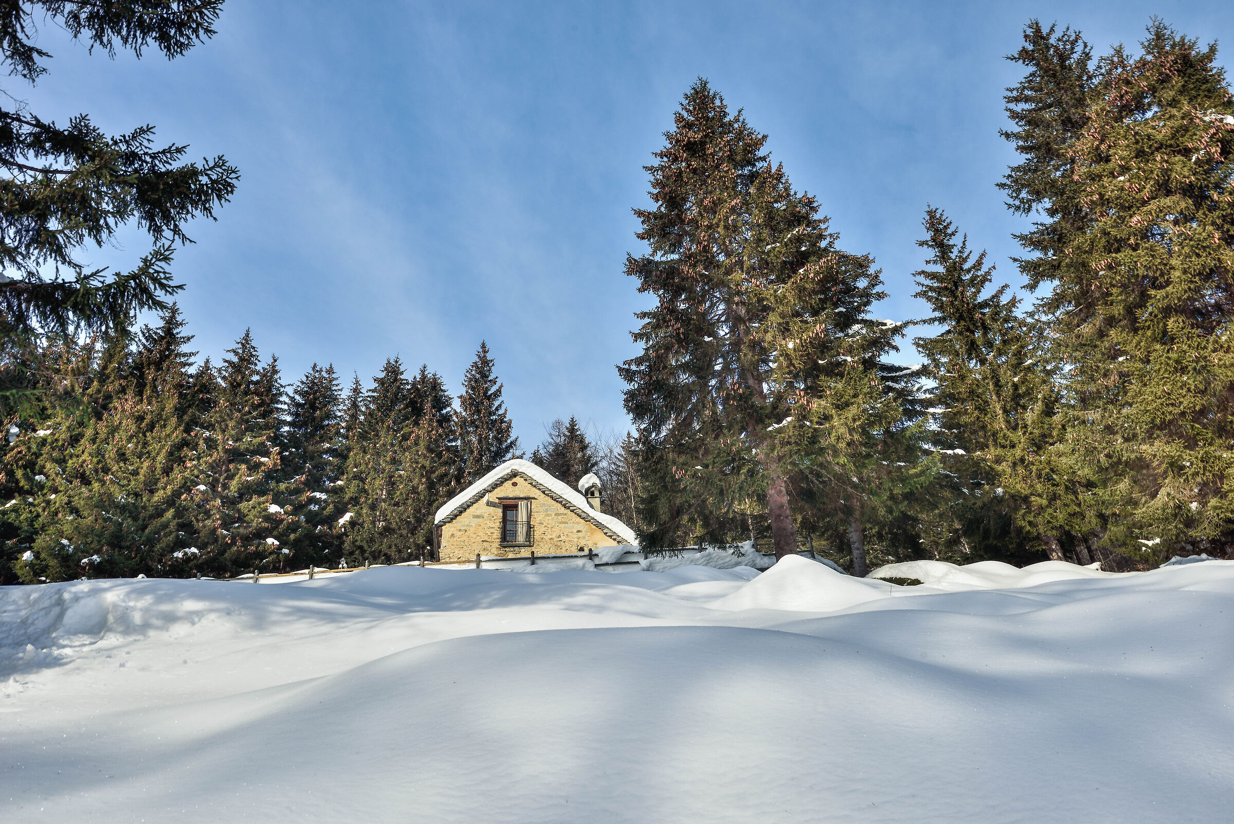 lungo l'itinerario di salita all'Alpe Deccia sup.