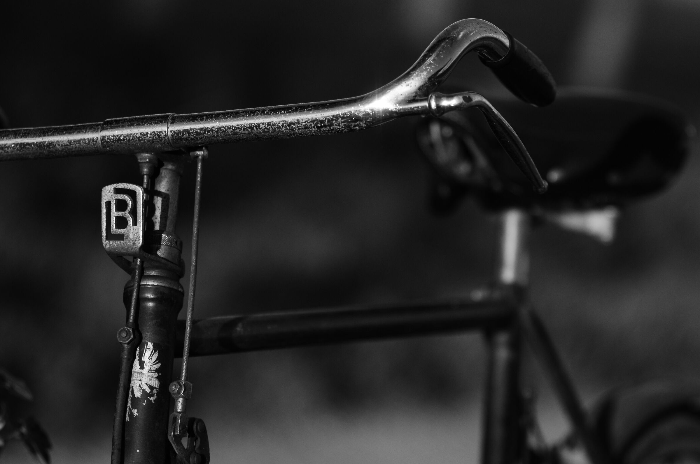 Bianchi Lusso 60enne