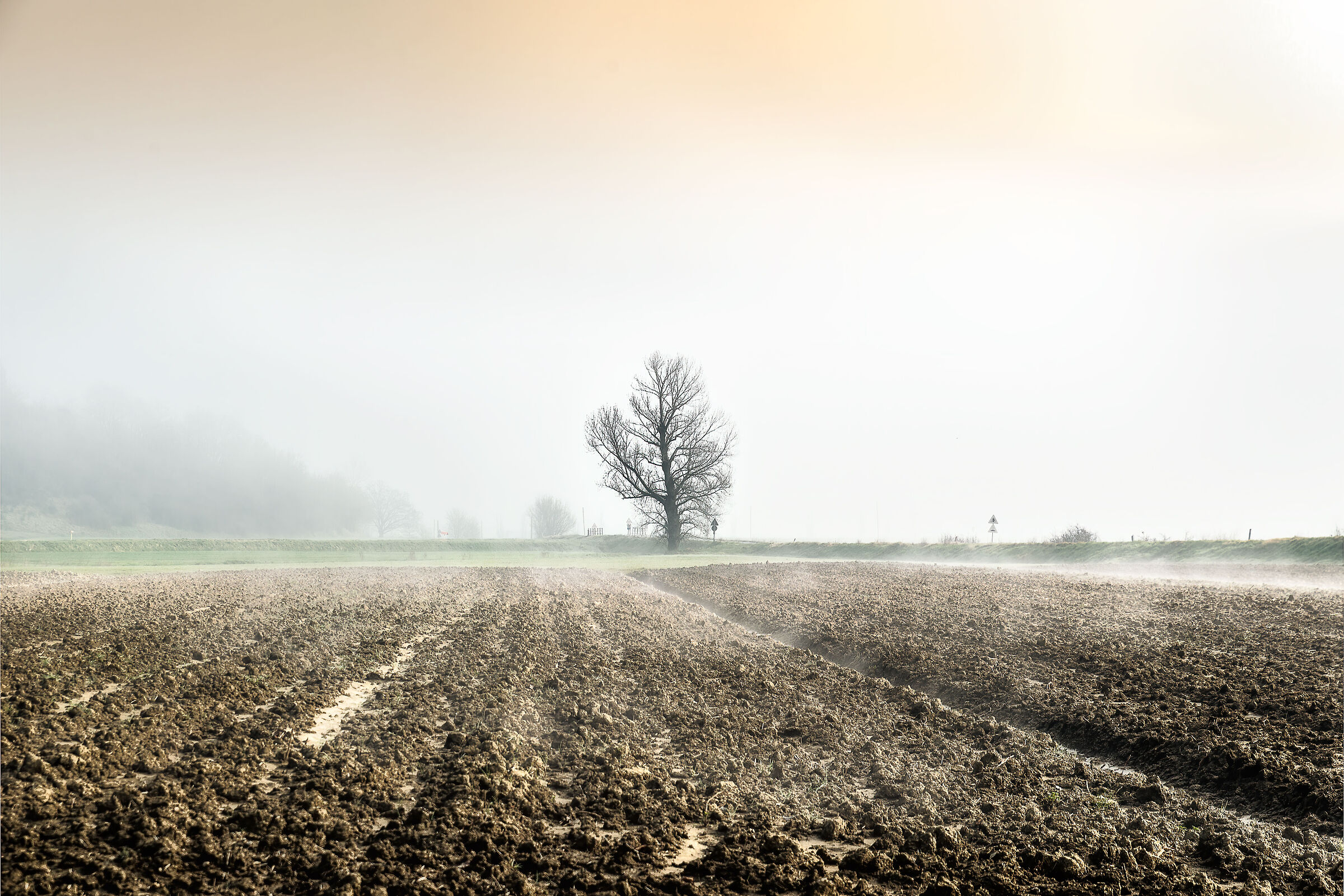 sfumature della campagna umbra val di chiana bassa