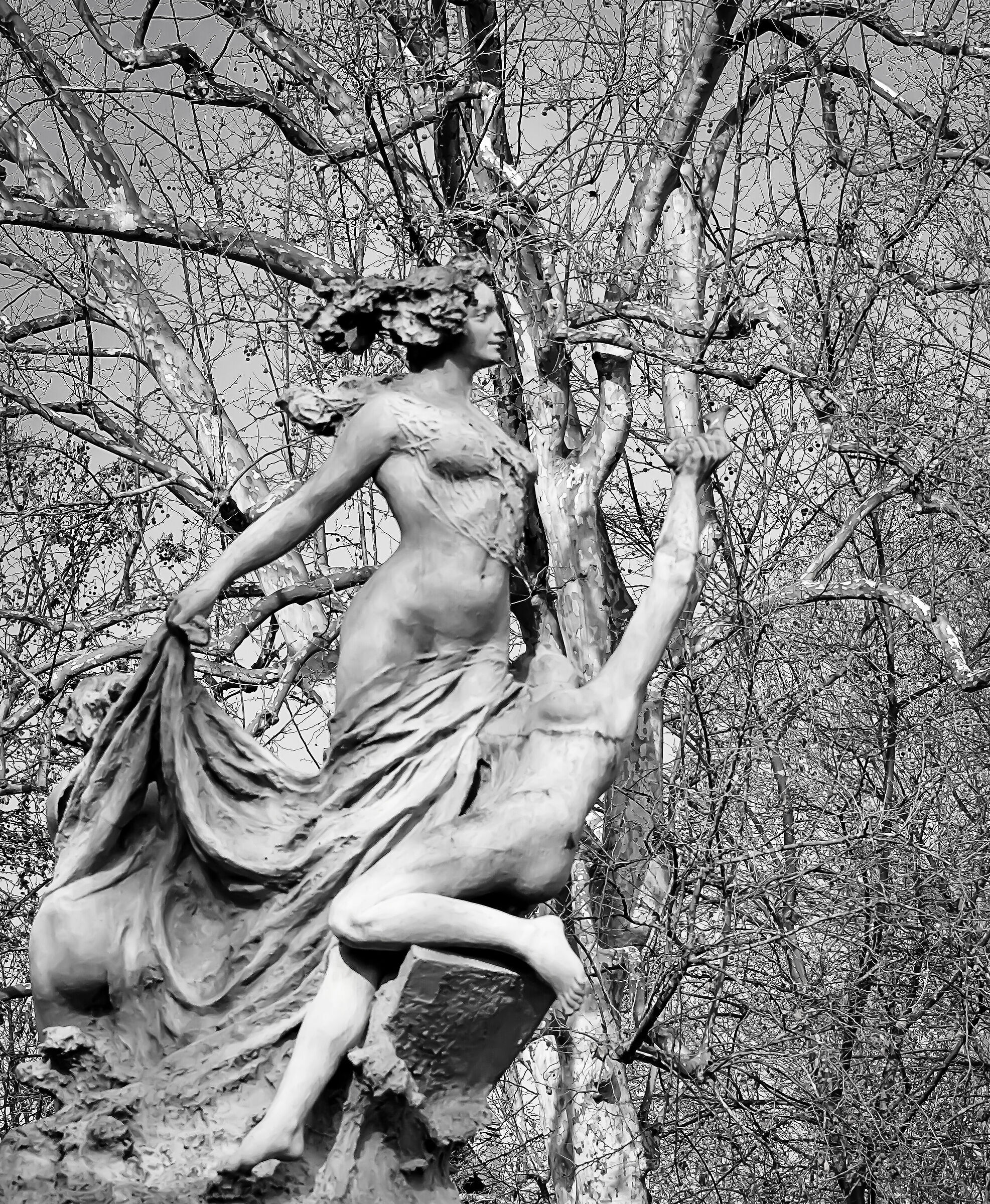 Among the branches