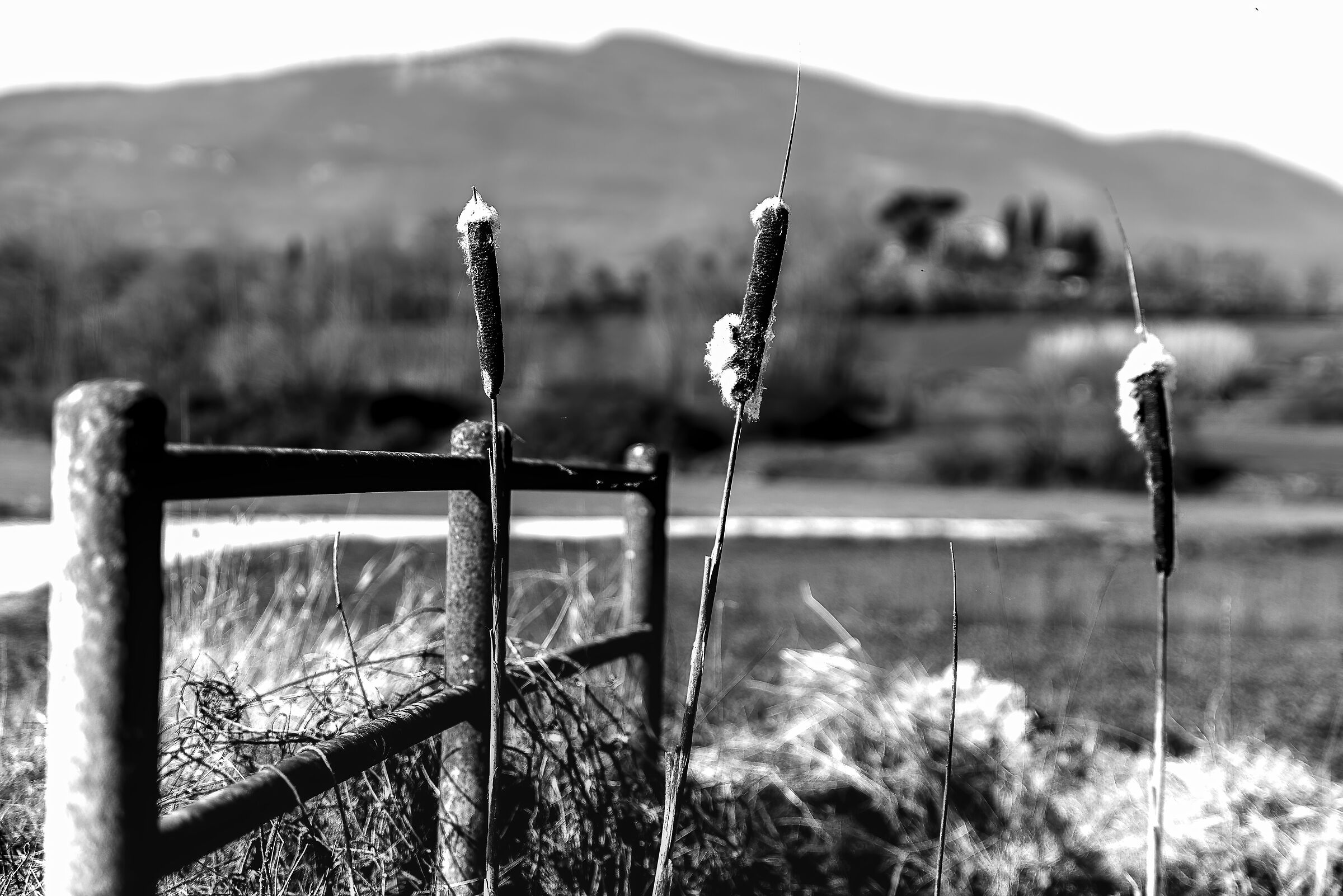 sfumature della campagna umbra val di chiana bassa