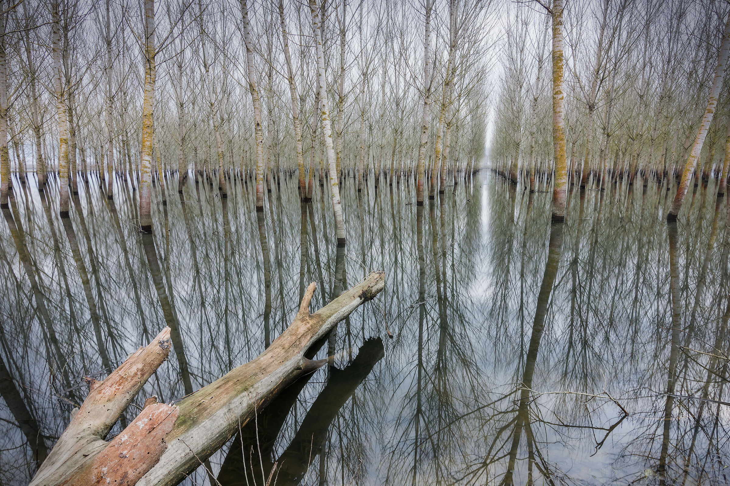 Reflections\\5