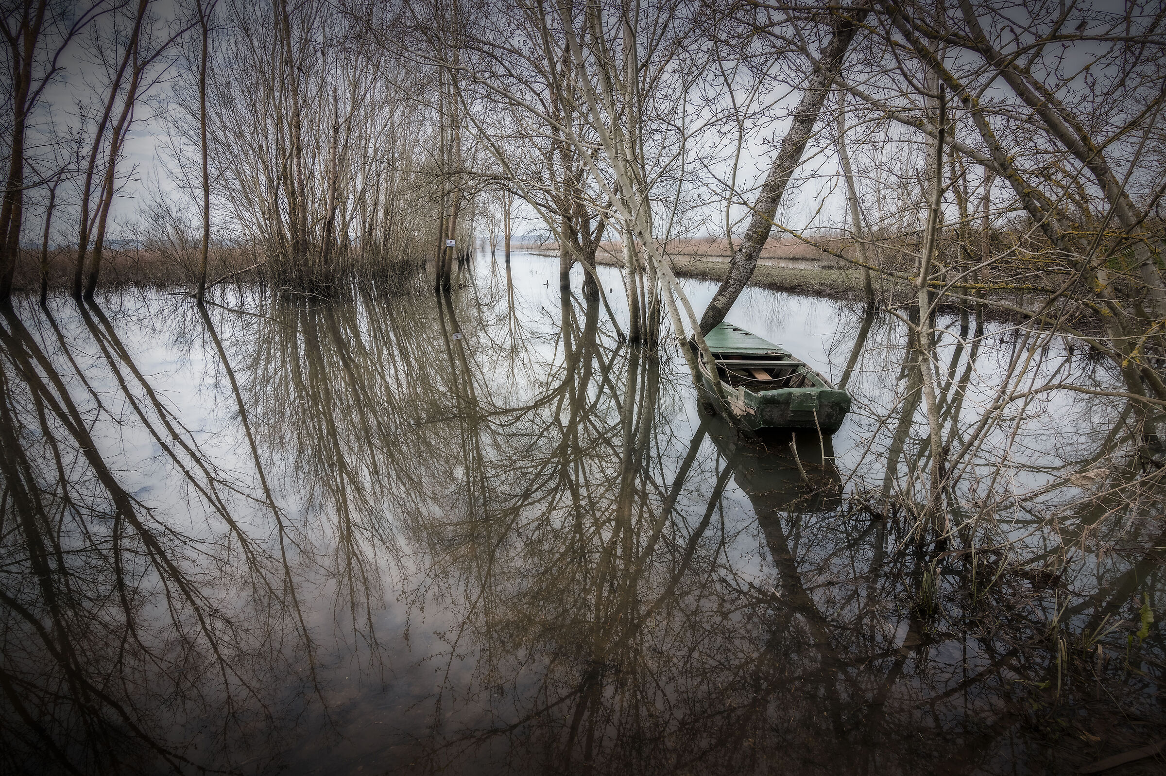 Reflections\\7