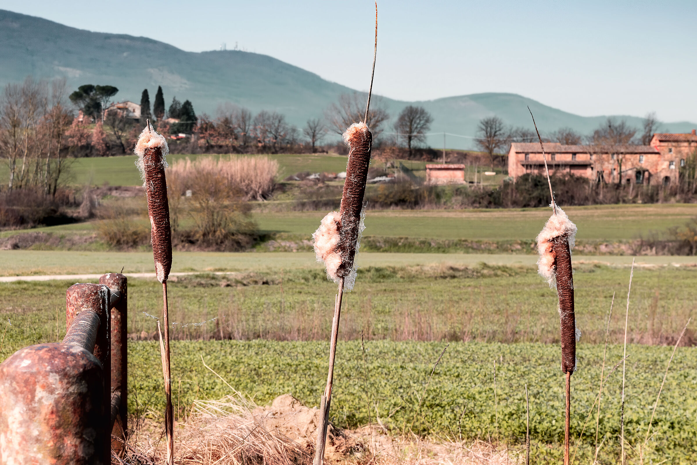 sfumature della campagna umbra val di chiana bassa