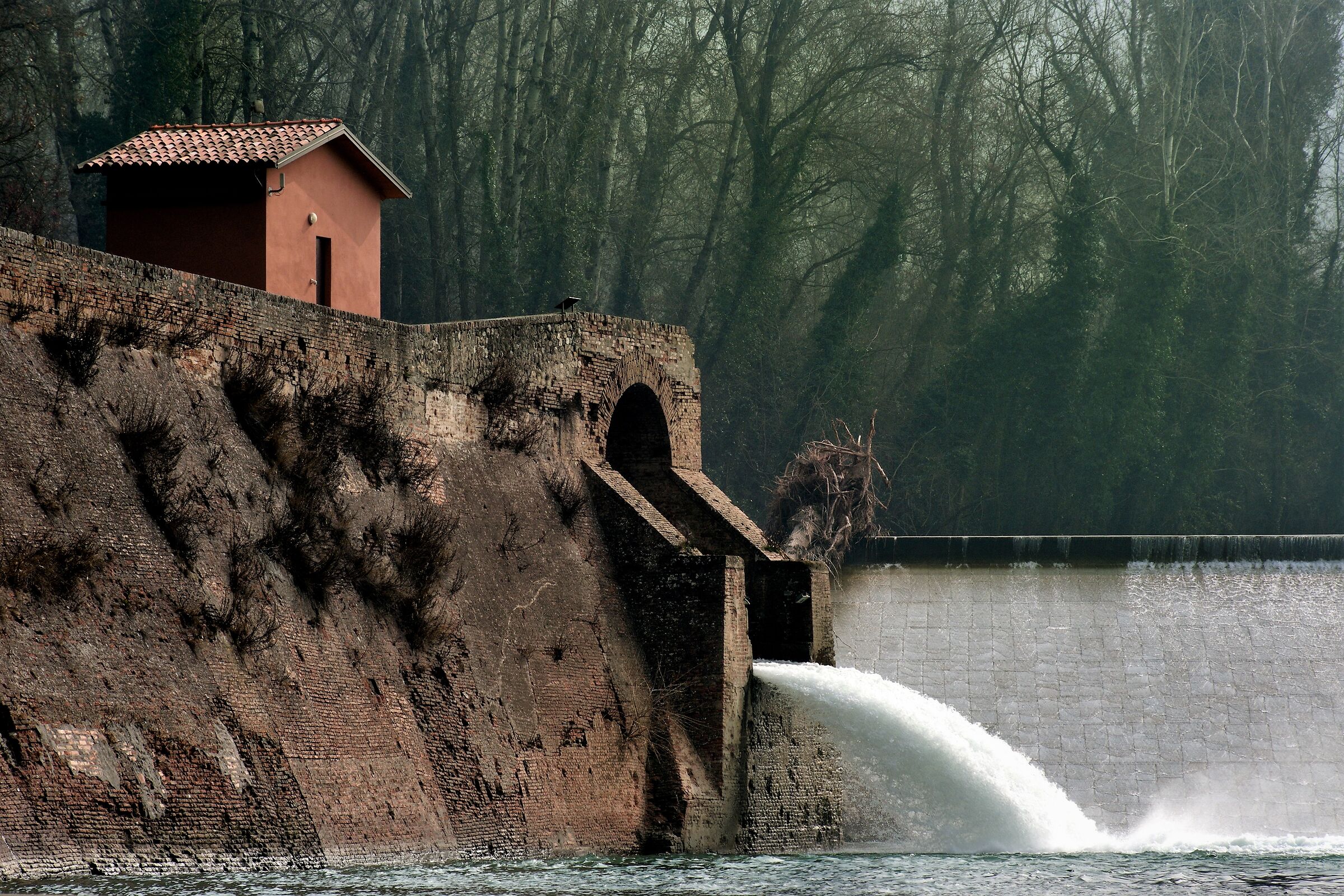 The Rhine in Casalecchio