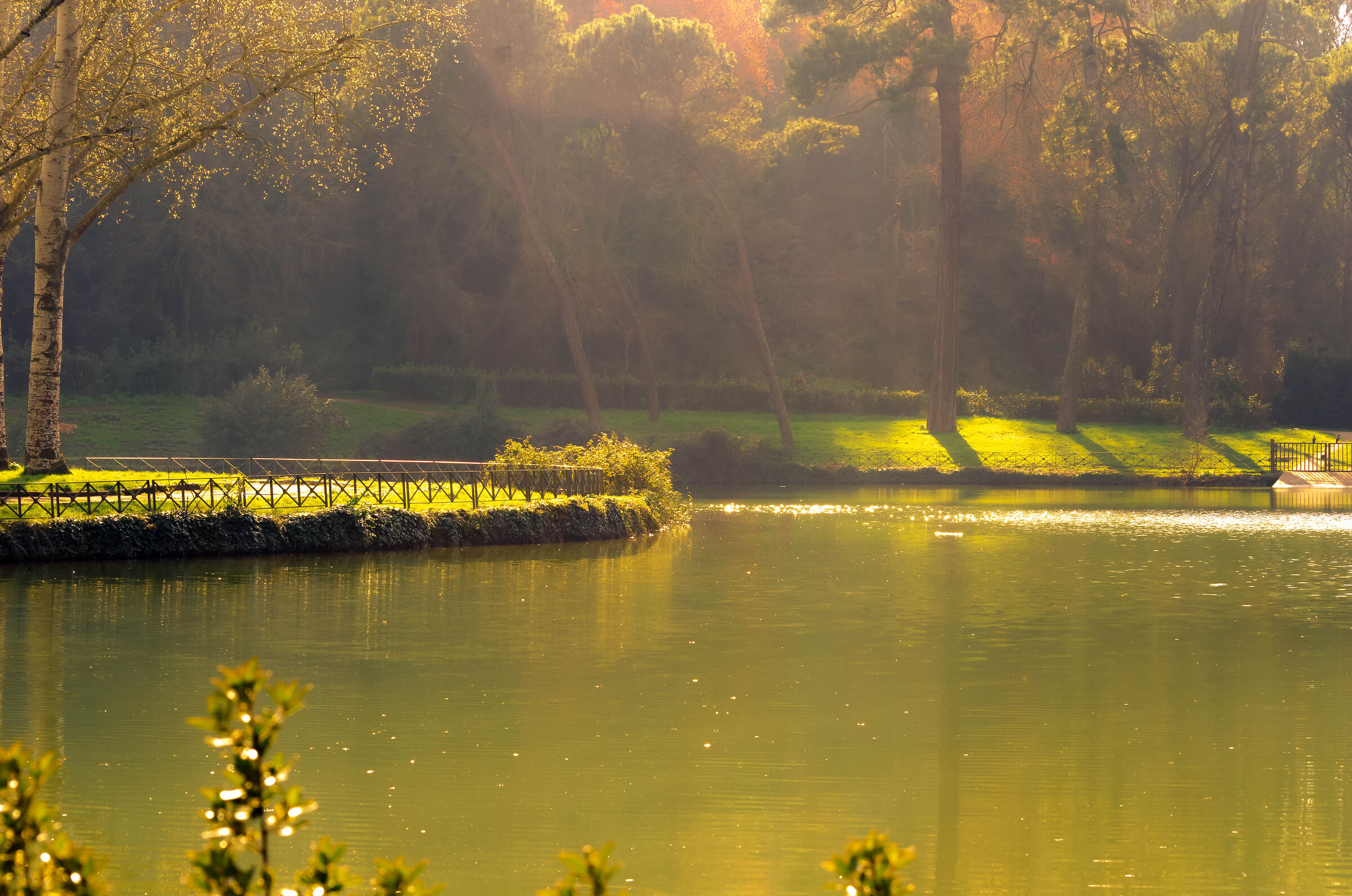 Laghetto di Villa Ada