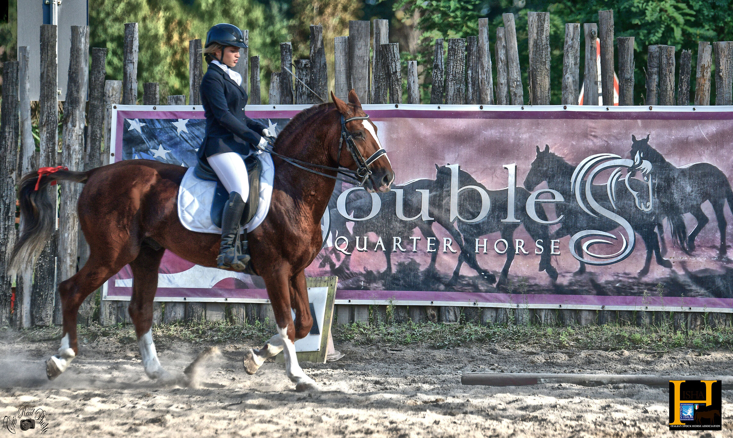 dressage