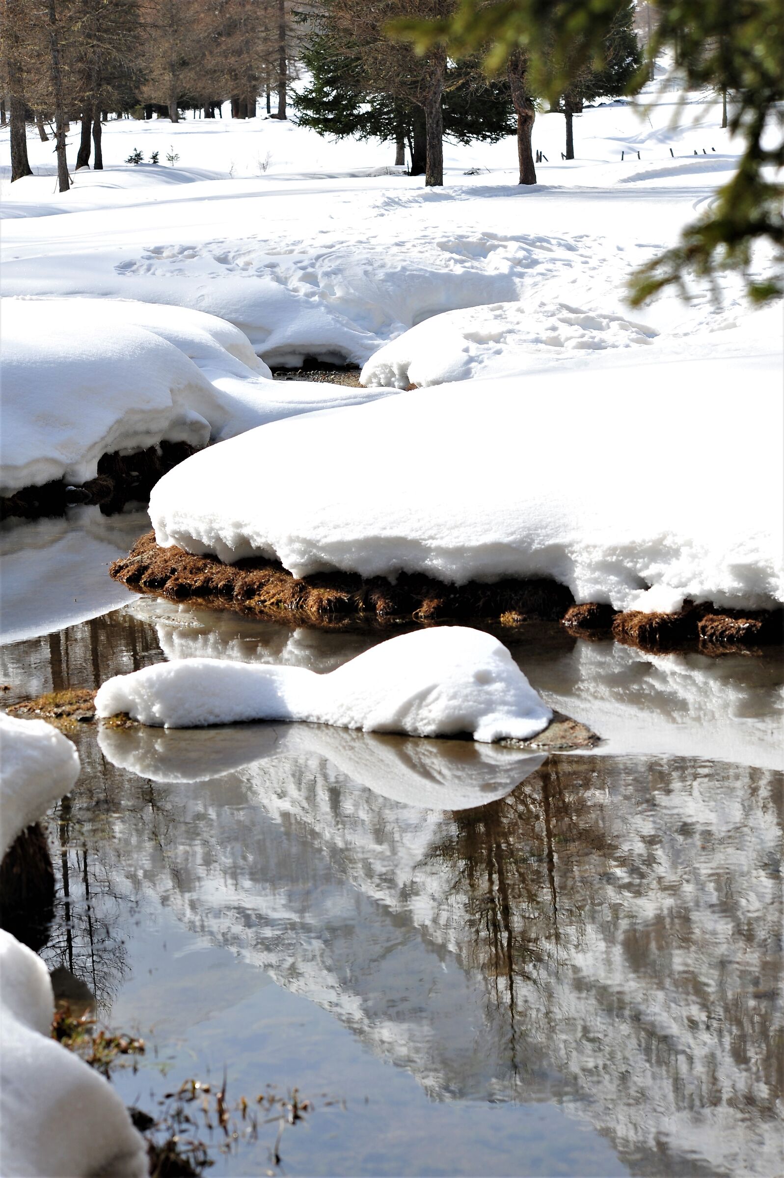 Riflessi nel silenzio...