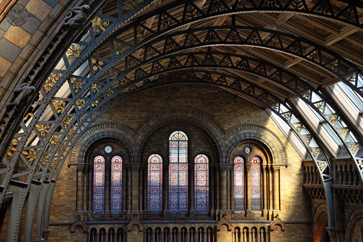 The world's most beautiful attic