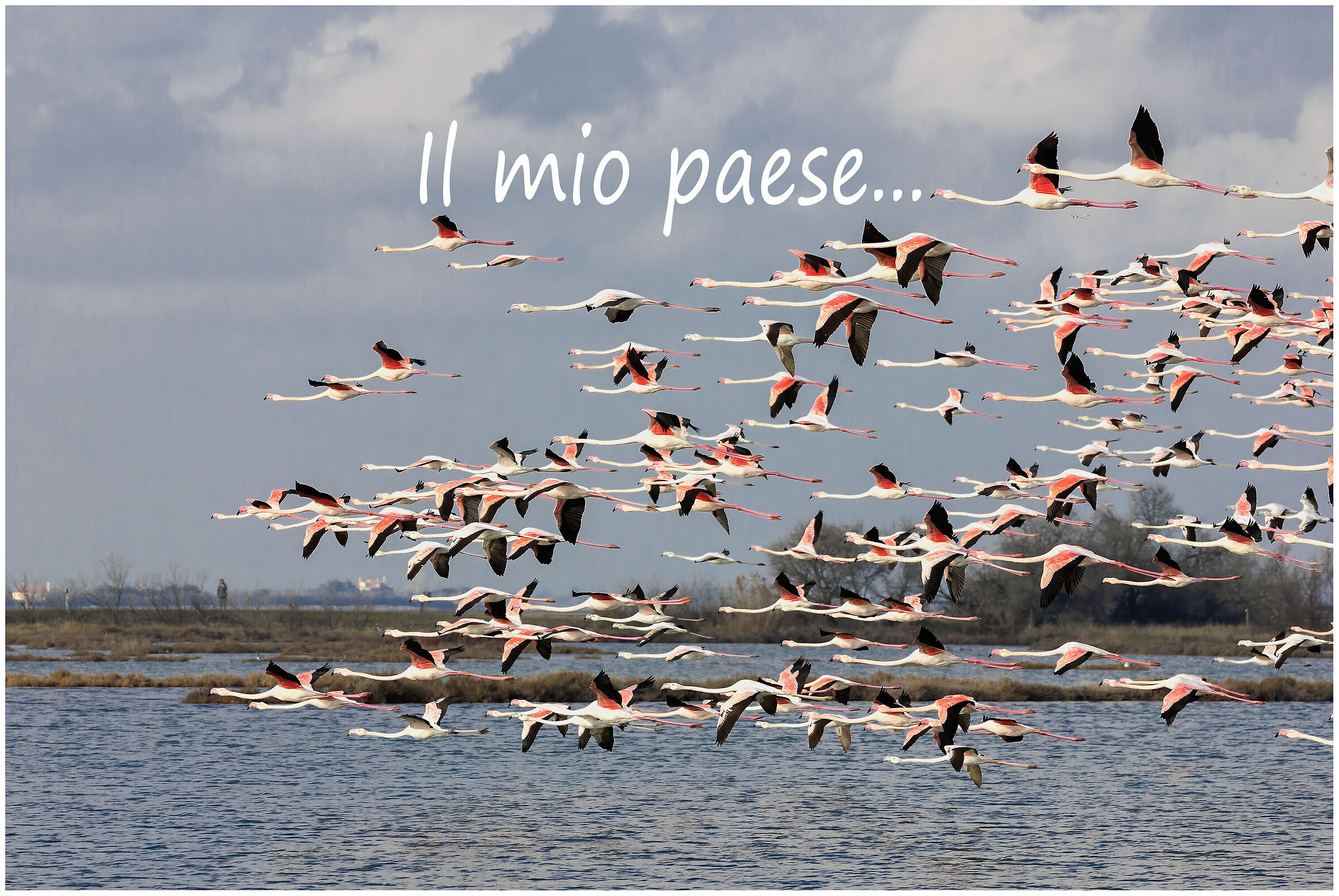 Il mio paese...