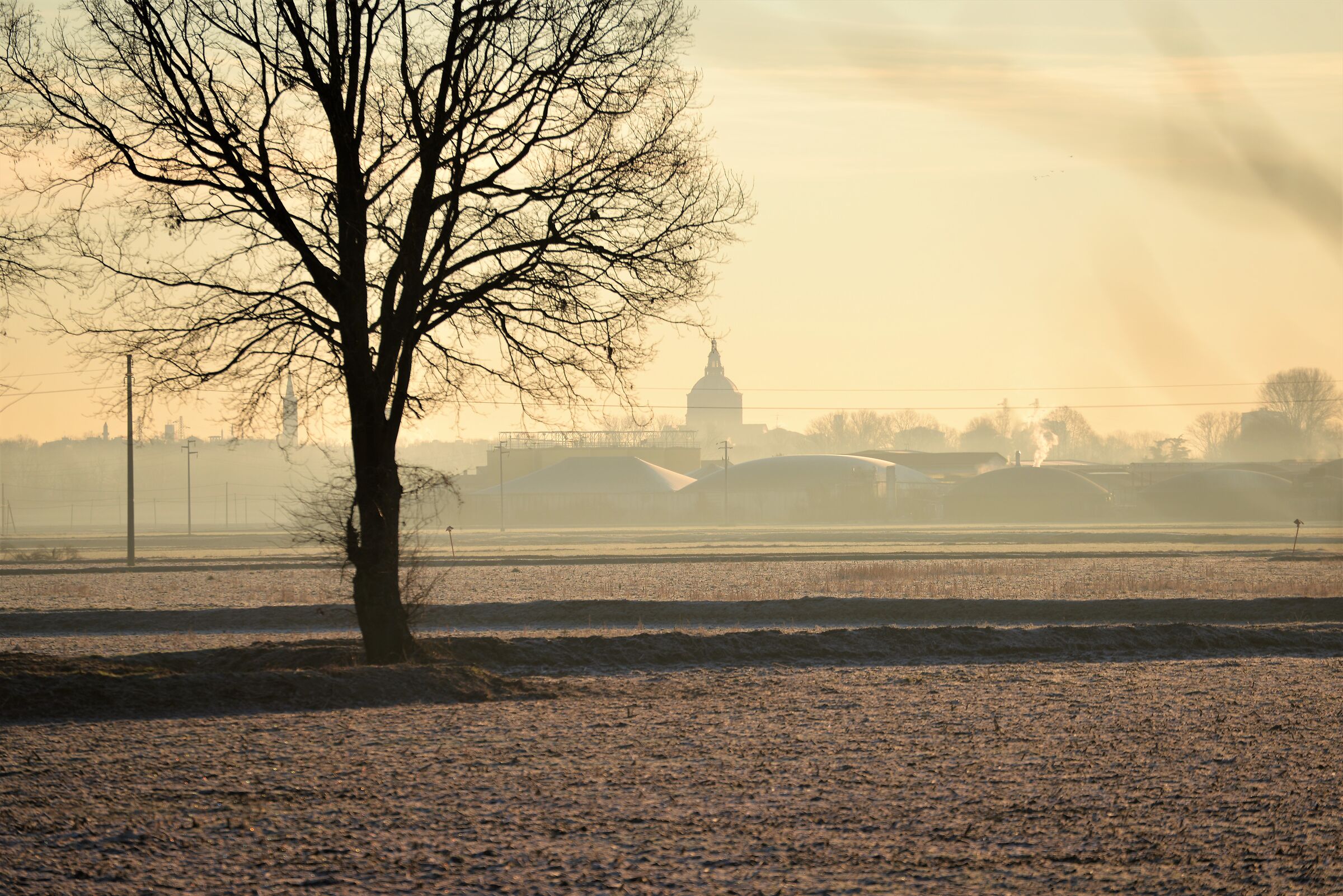 Pavese horizon (with frost)