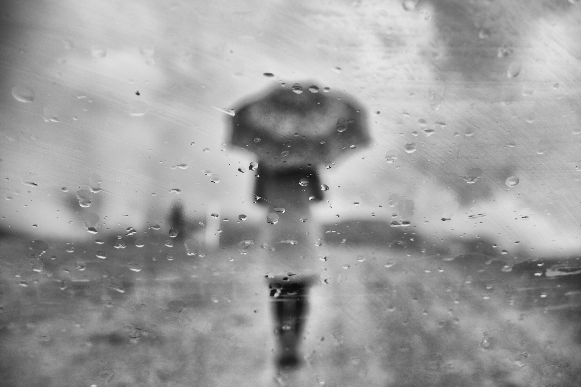 In the Rain