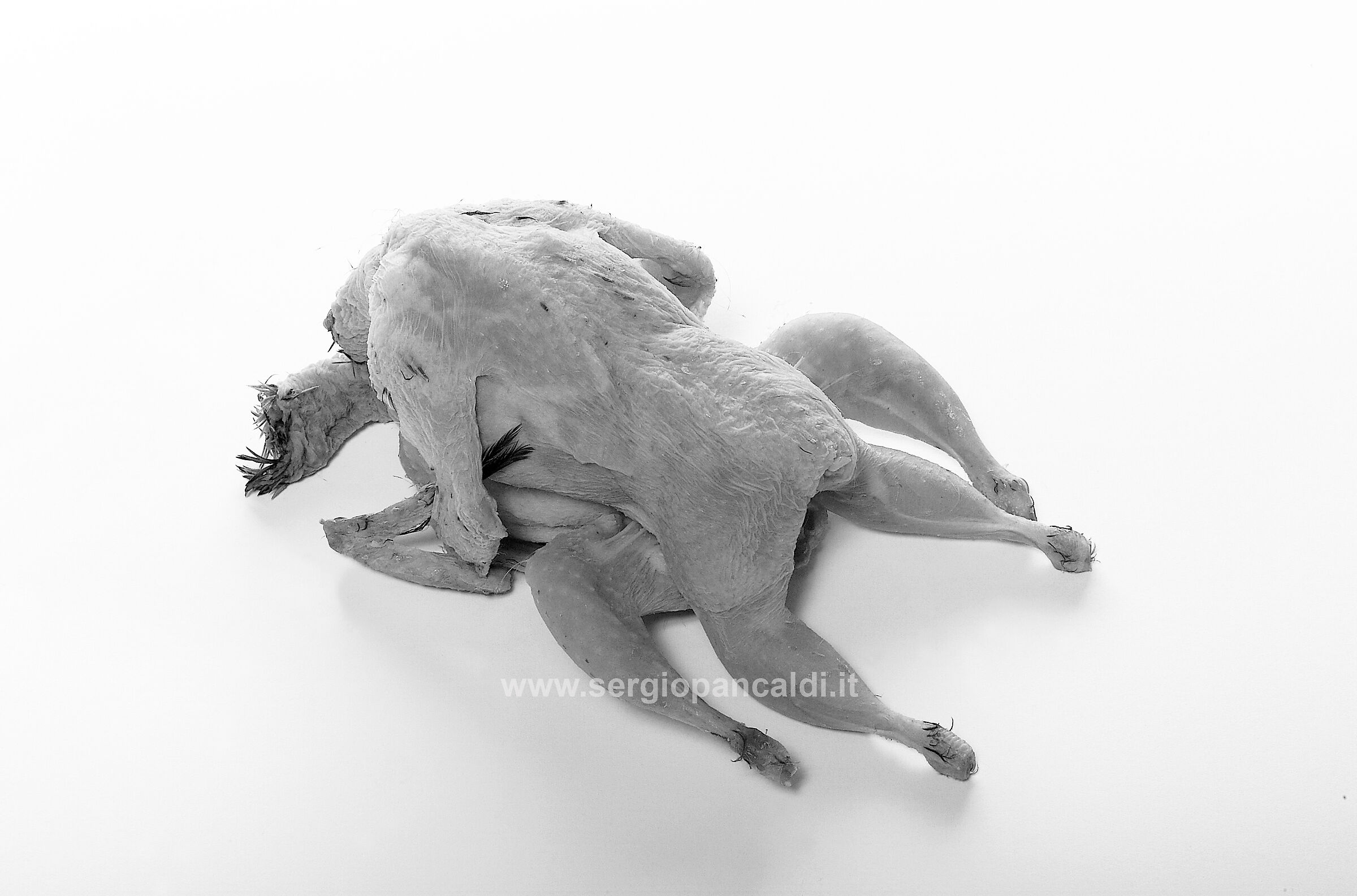 Untitled Photo