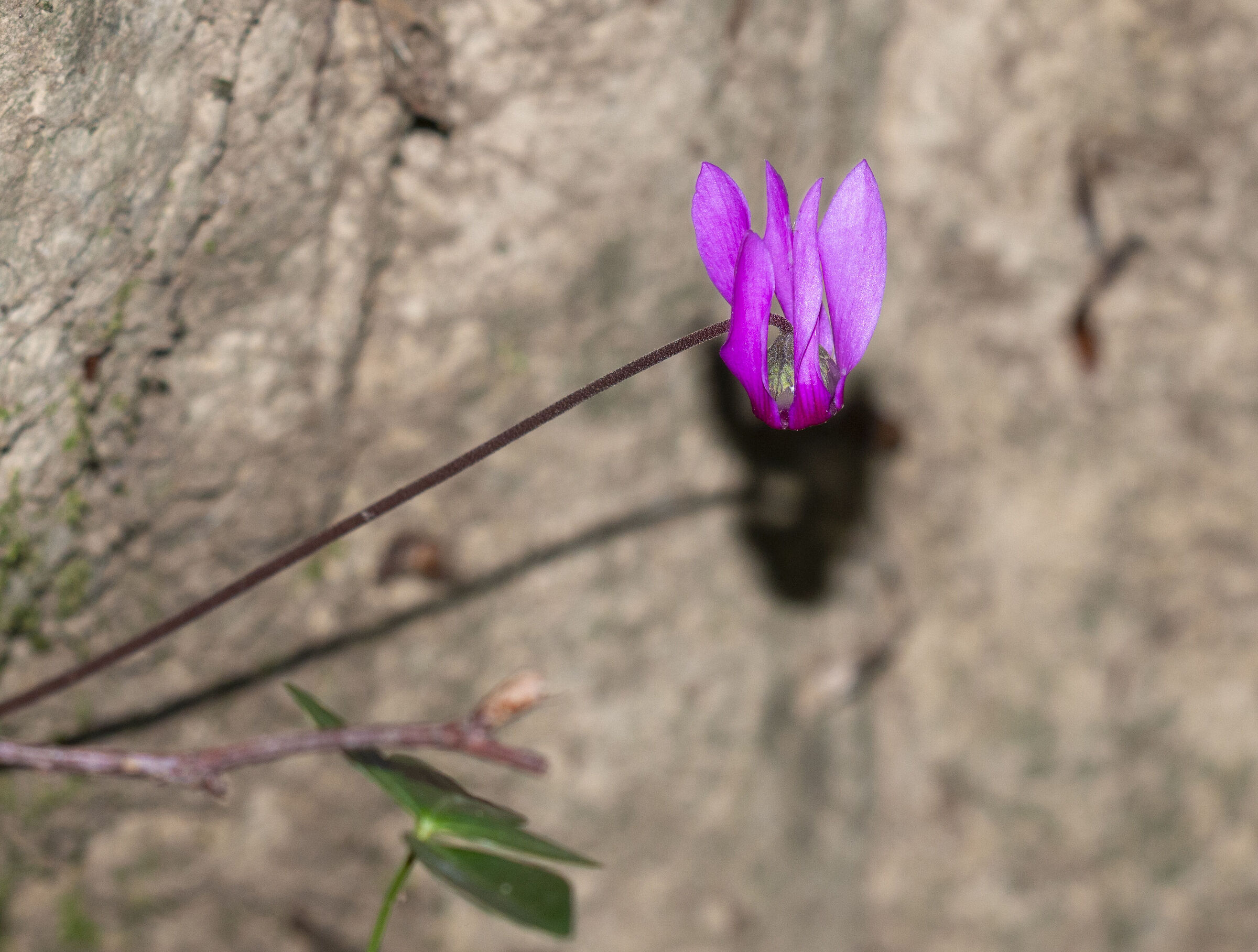 Untitled Photo