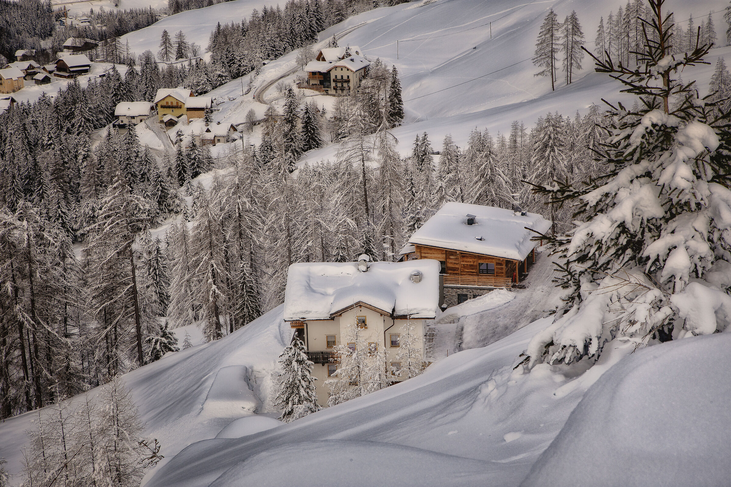 Maybe it's the last winter photo!