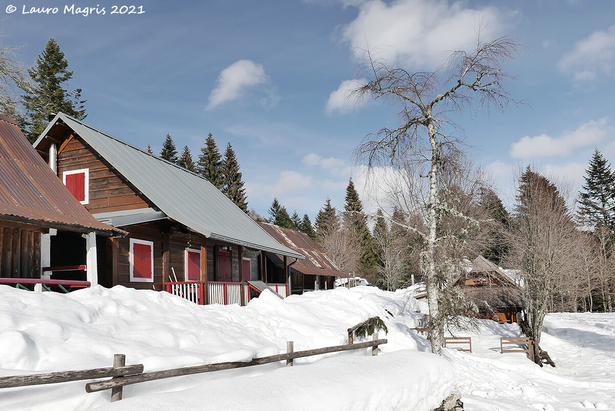 Sprofondando nella neve