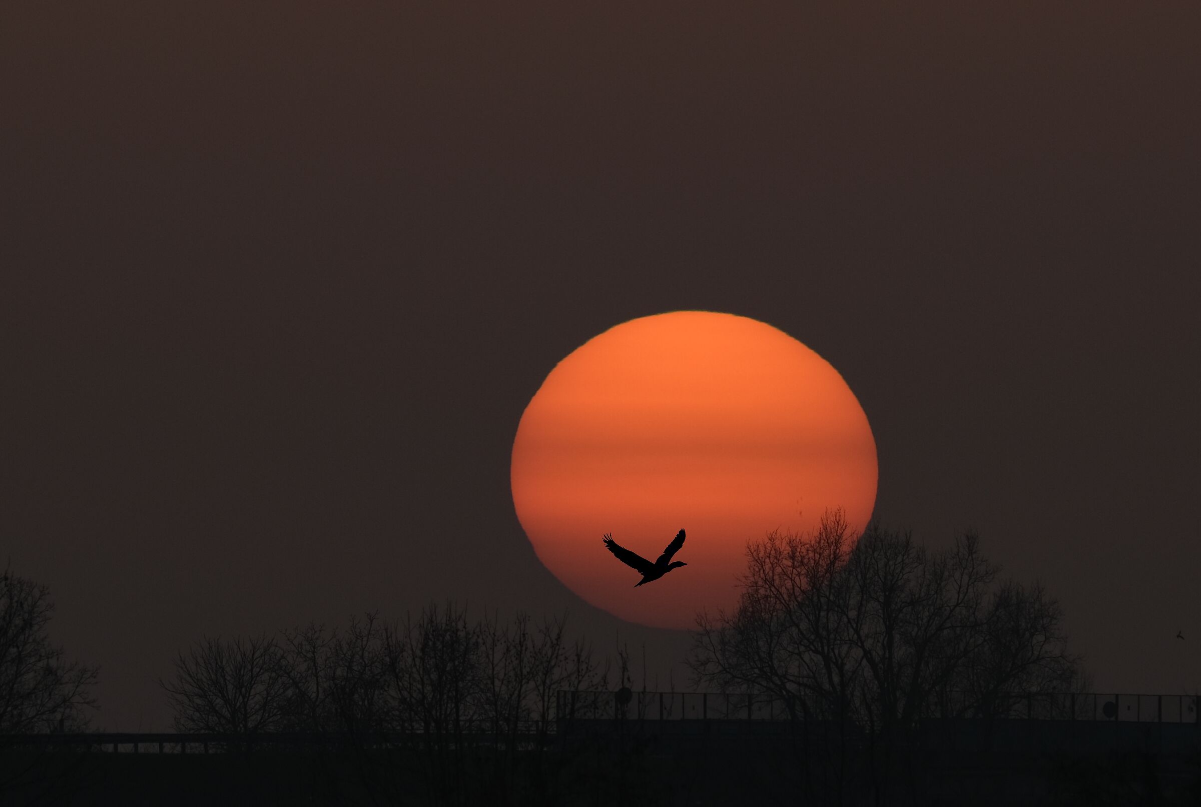 Al Tramonto