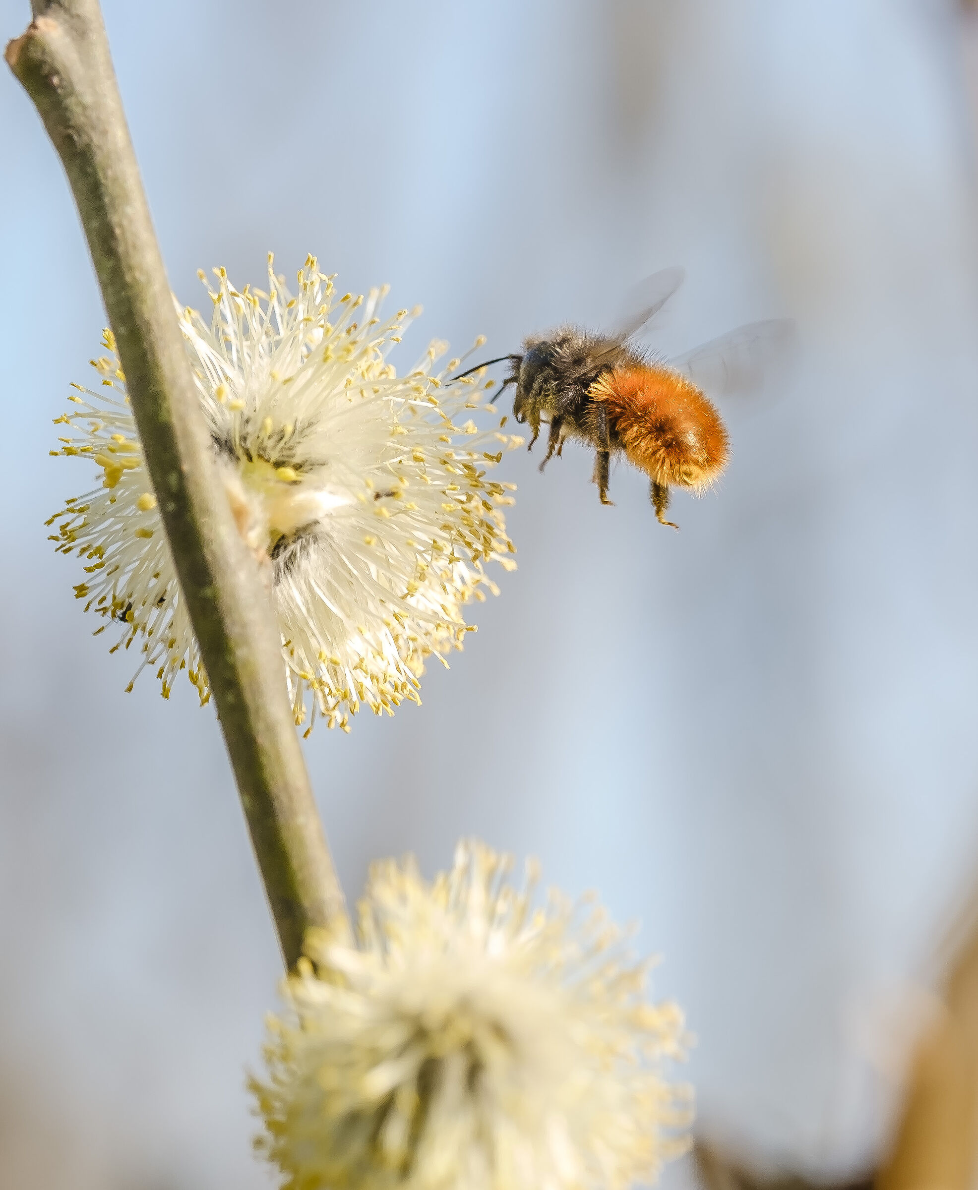 Landing