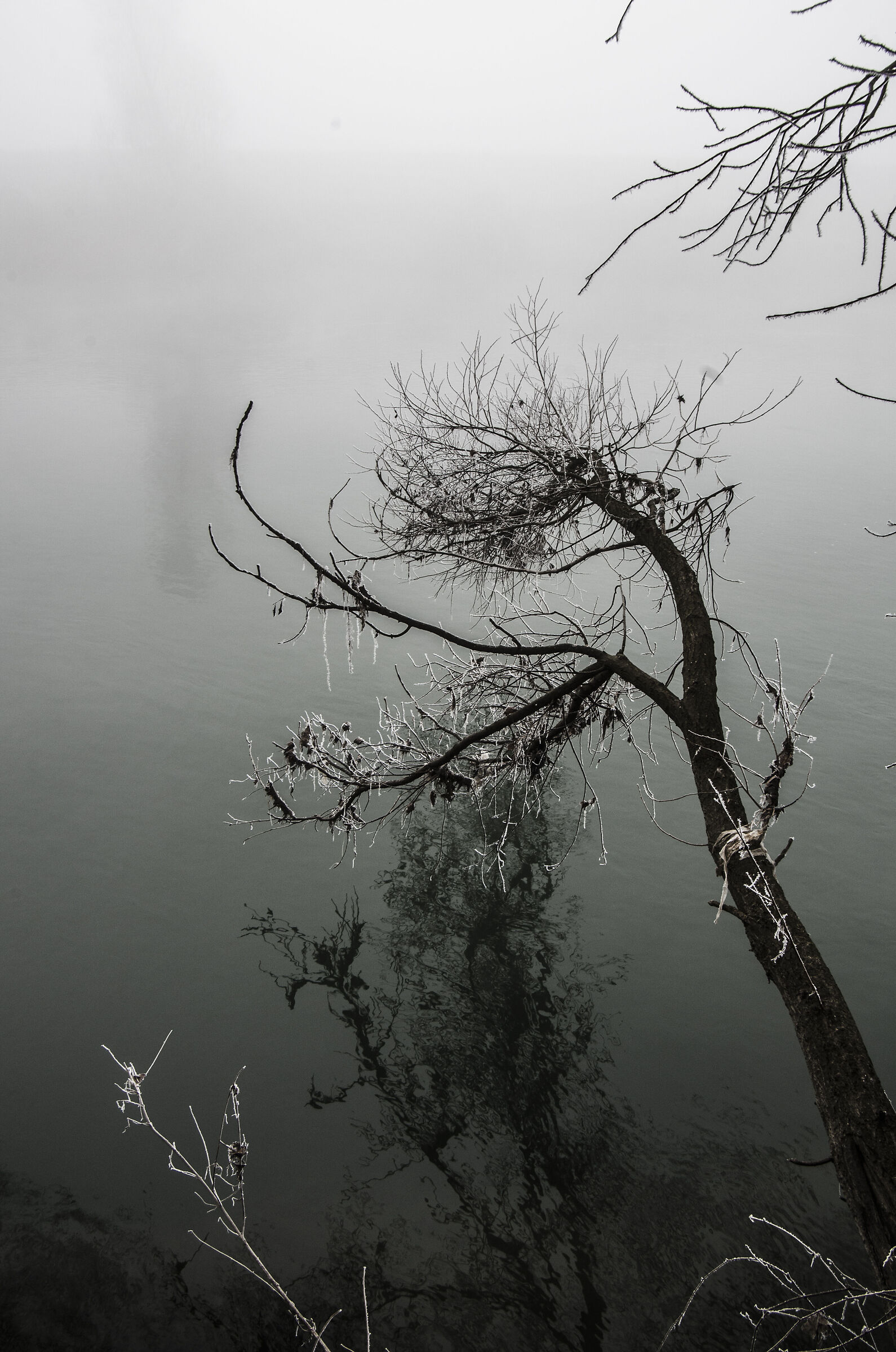 Silenziosamente suggestivo