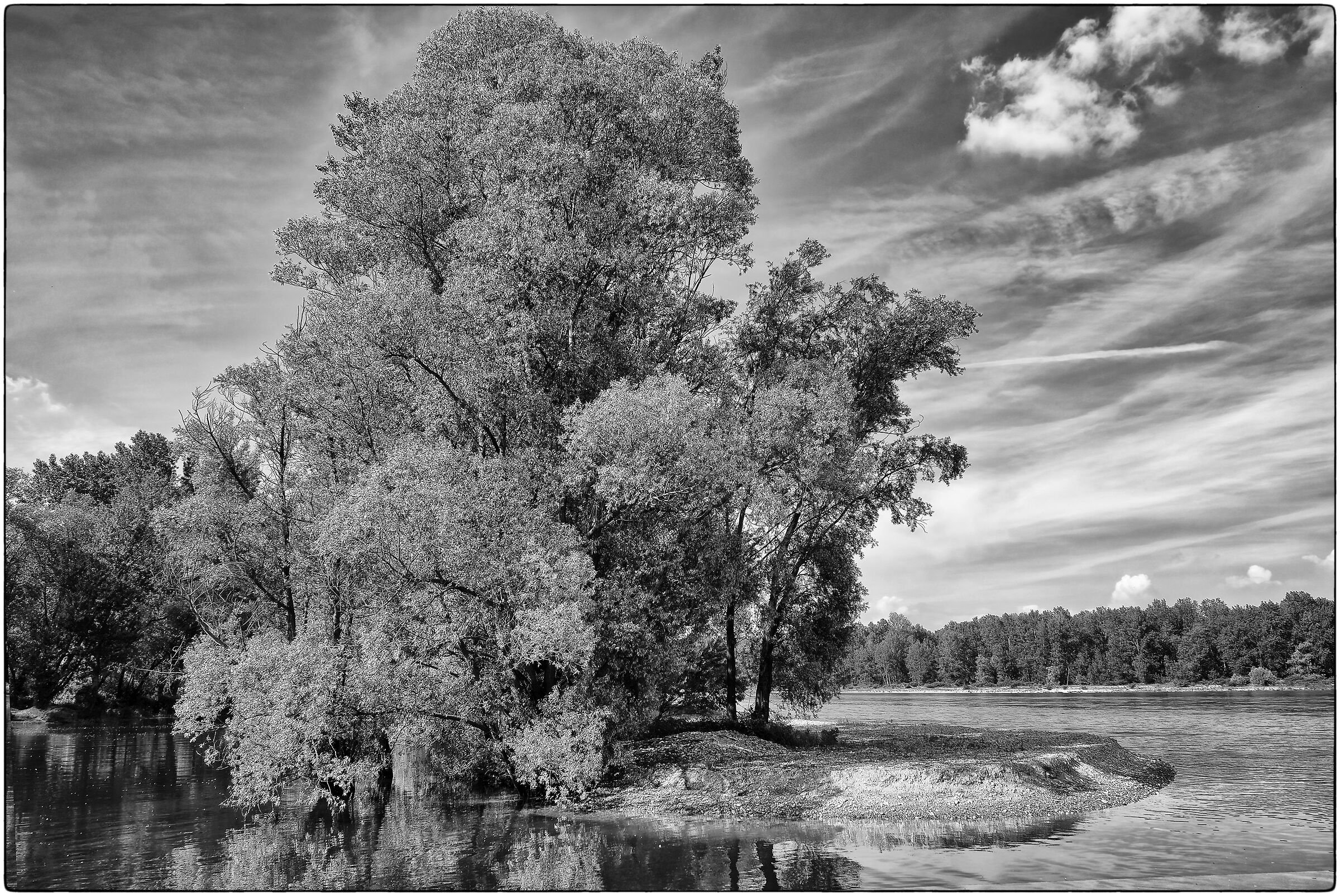 Ticino a Vigevano - la fotografatissima lanca Ayala