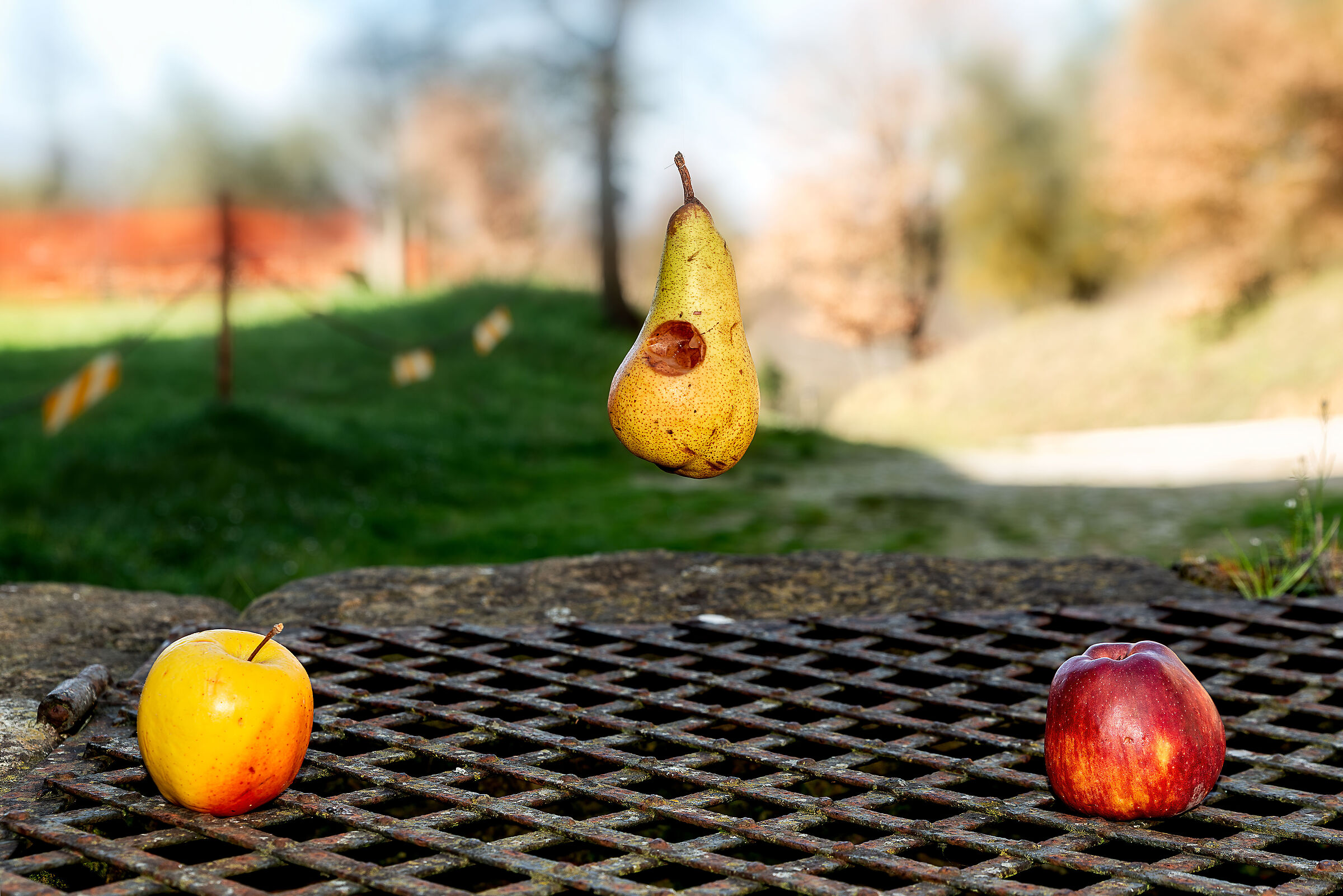 ancora prove senza nesso