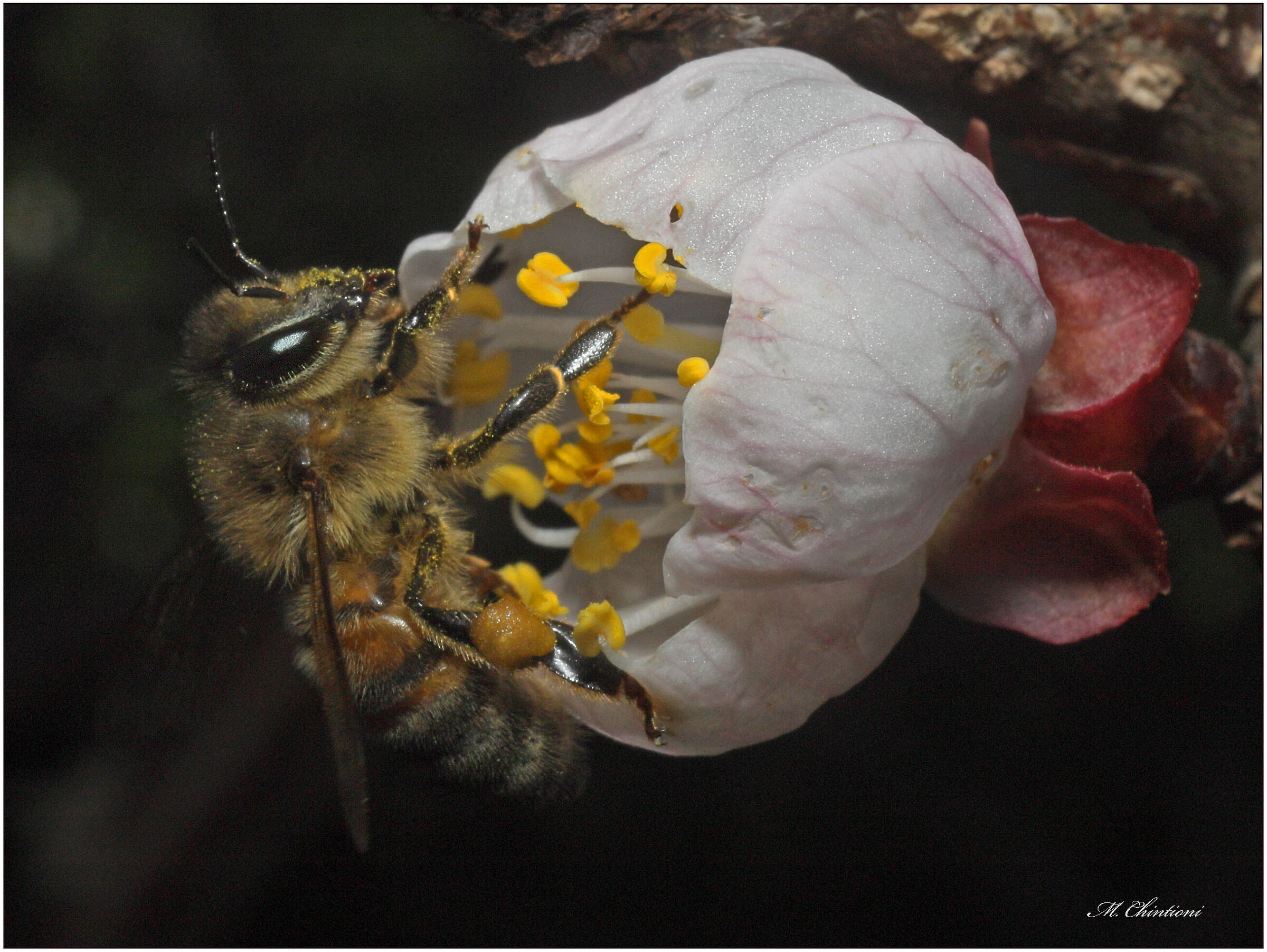 ... aspettando la Primavera