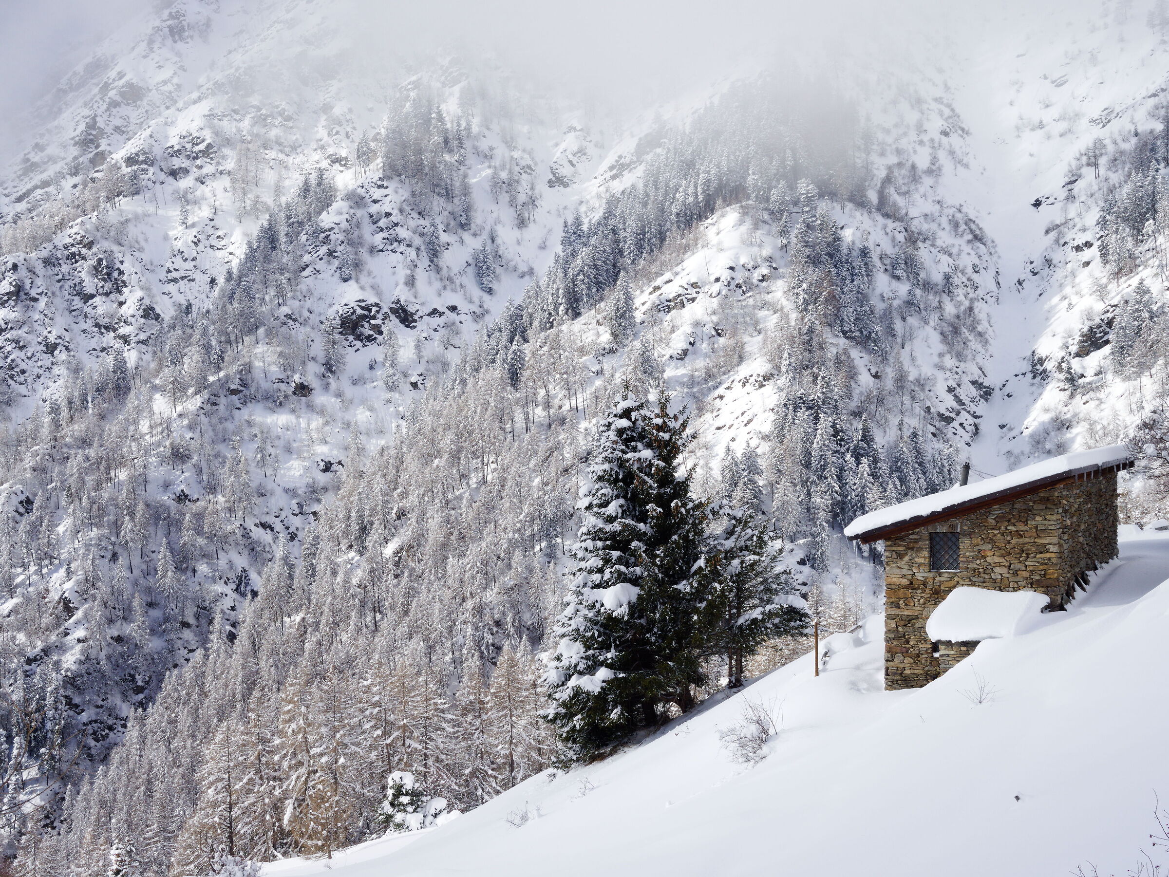 La casa dei sogni...