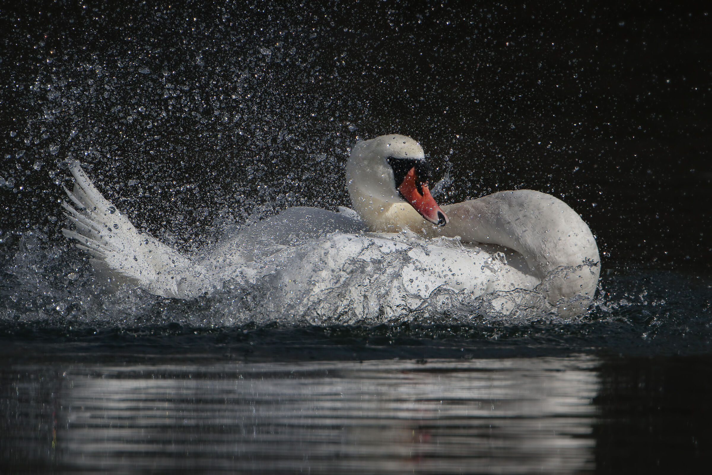 Idromassaggio del Reale